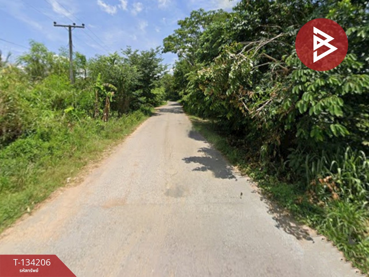 ขายที่ดิน เนื้อที่ 31 ไร่ 1 งาน 68 ตร.วา แก่งกระจาน เพชรบุรี 4