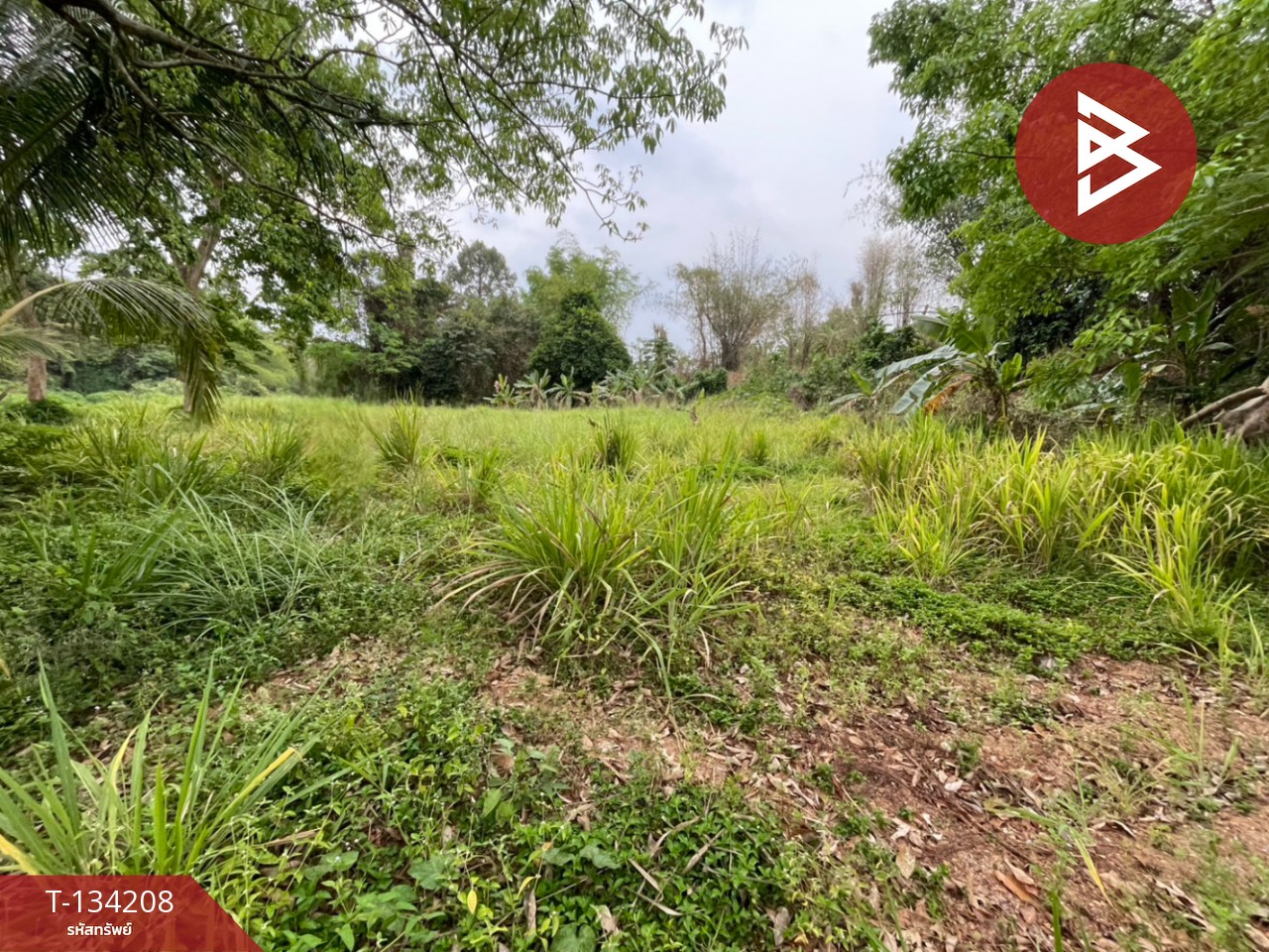 ขายที่ดิน เนื้อที่ 6 ไร่ 1 งาน 50 ตร.วา แก่งกระจาน เพชรบุรี 4