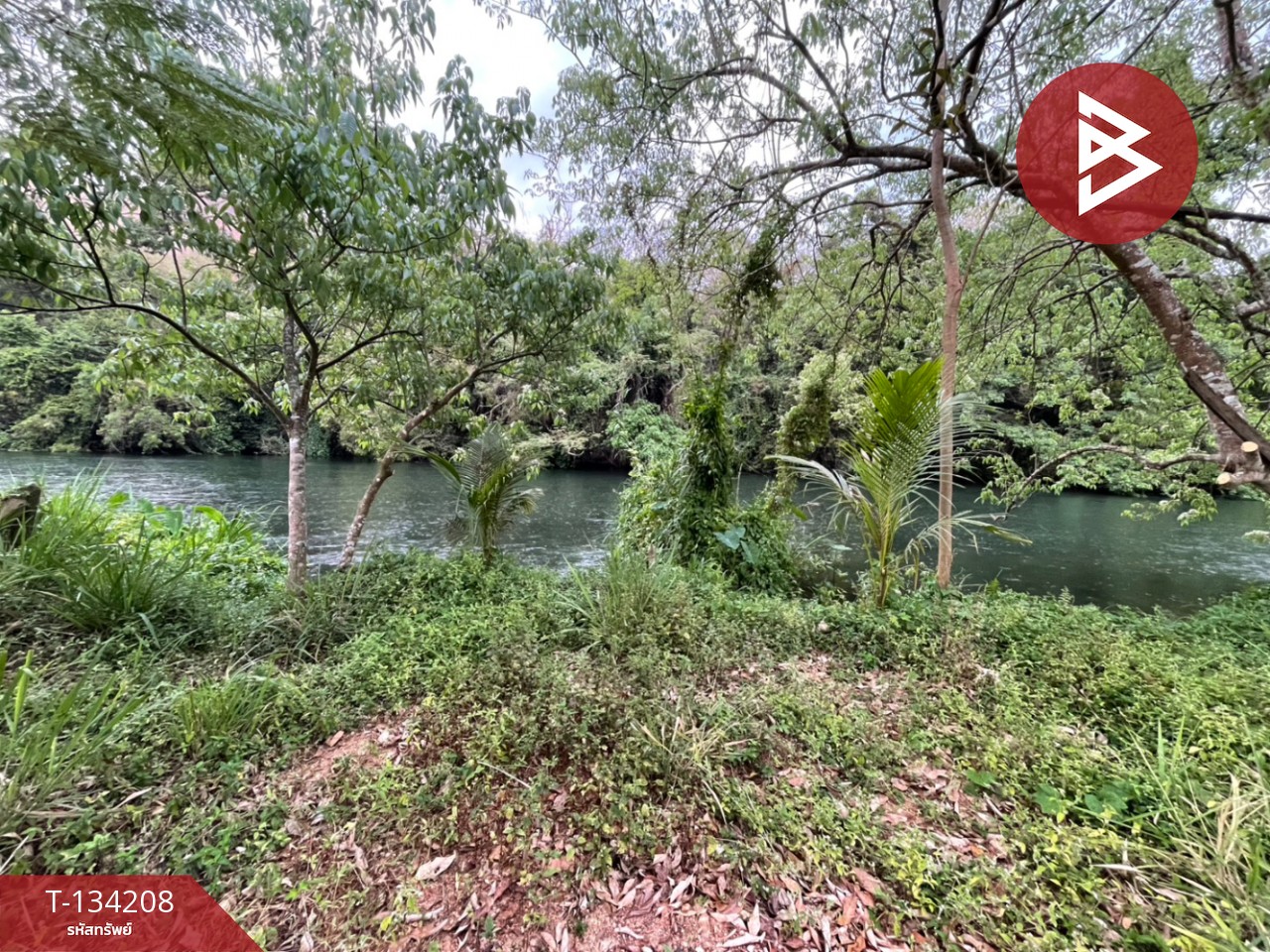 ขายที่ดิน เนื้อที่ 6 ไร่ 1 งาน 50 ตร.วา แก่งกระจาน เพชรบุรี 3