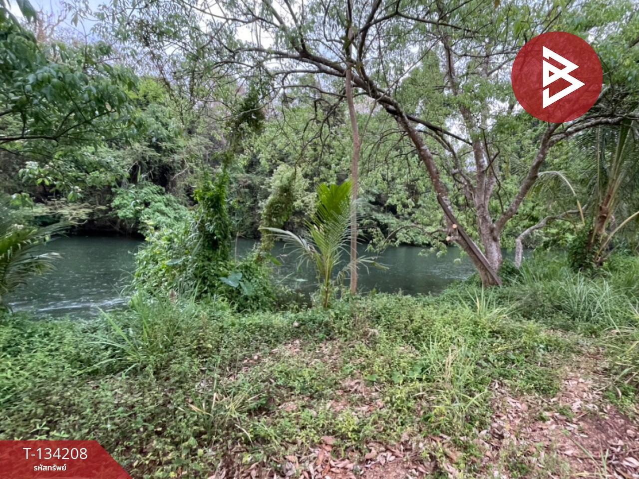 ขายที่ดิน เนื้อที่ 6 ไร่ 1 งาน 50 ตร.วา แก่งกระจาน เพชรบุรี 5