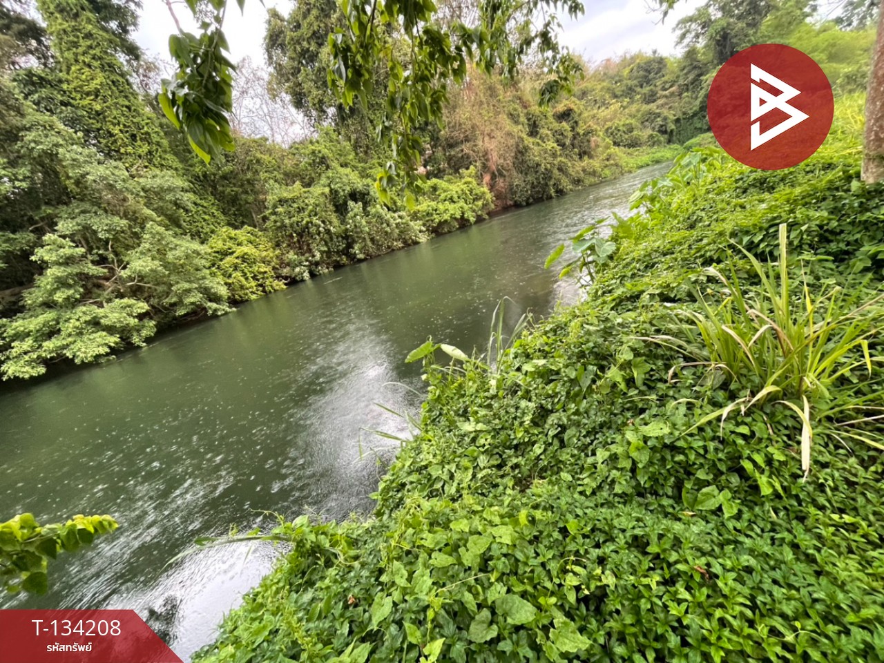 ขายที่ดิน เนื้อที่ 6 ไร่ 1 งาน 50 ตร.วา แก่งกระจาน เพชรบุรี 1