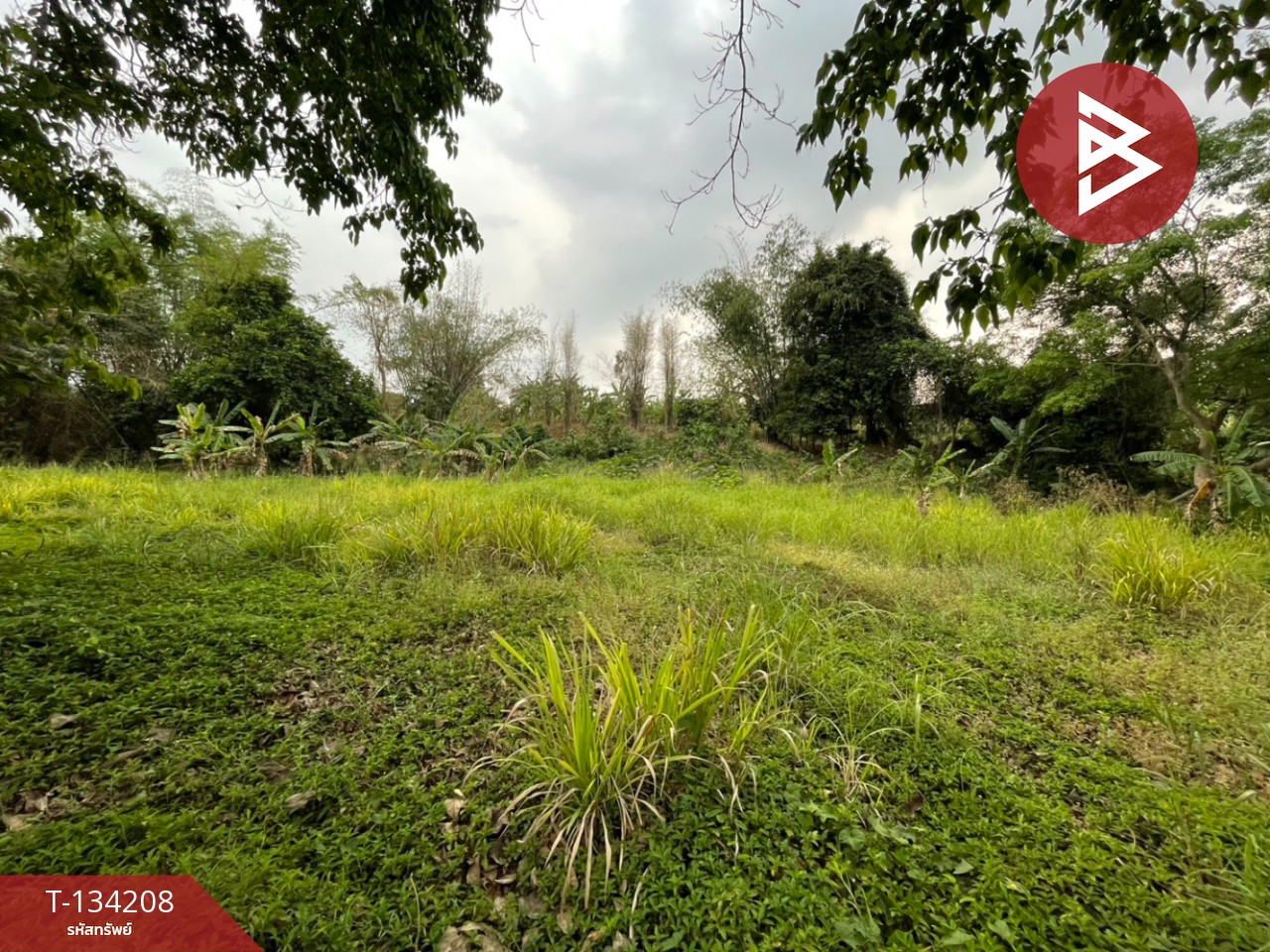 ขายที่ดิน เนื้อที่ 6 ไร่ 1 งาน 50 ตร.วา แก่งกระจาน เพชรบุรี 2