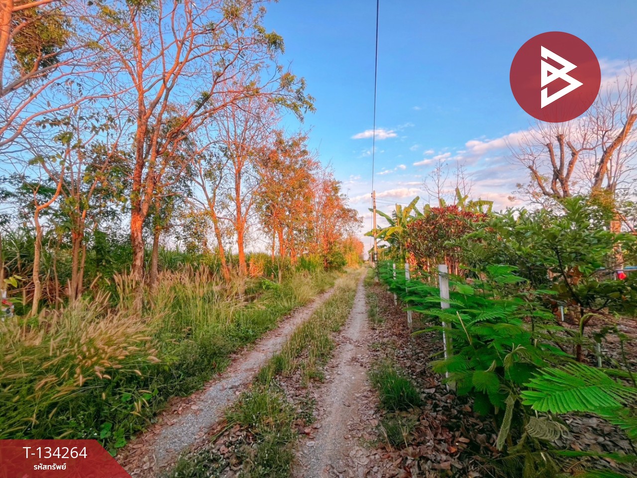 ขายบ้านเดี่ยวพร้อมที่ดิน เนื้อที่ 1 ไร่ 1 งาน ดอนเจดีย์ สุพรรณบุรี 9