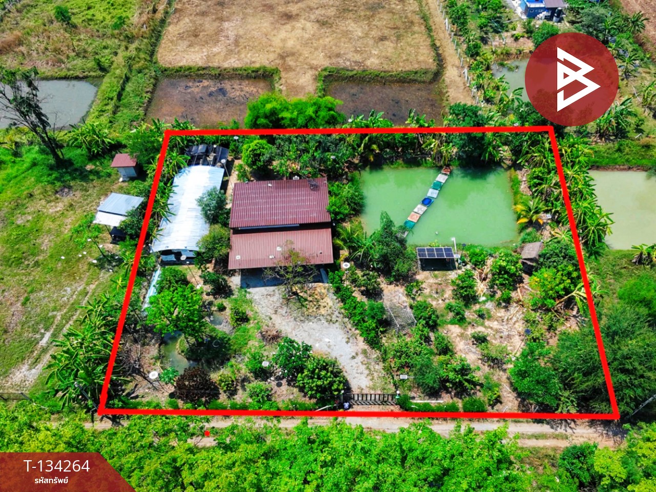 ขายบ้านเดี่ยวพร้อมที่ดิน เนื้อที่ 1 ไร่ 1 งาน ดอนเจดีย์ สุพรรณบุรี 14