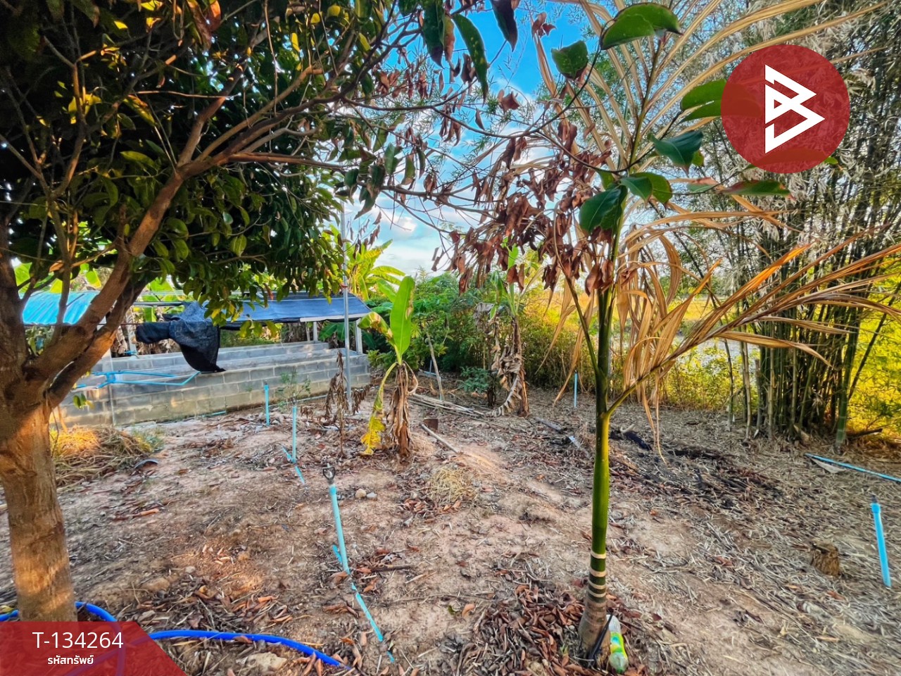 ขายบ้านเดี่ยวพร้อมที่ดิน เนื้อที่ 1 ไร่ 1 งาน ดอนเจดีย์ สุพรรณบุรี 10