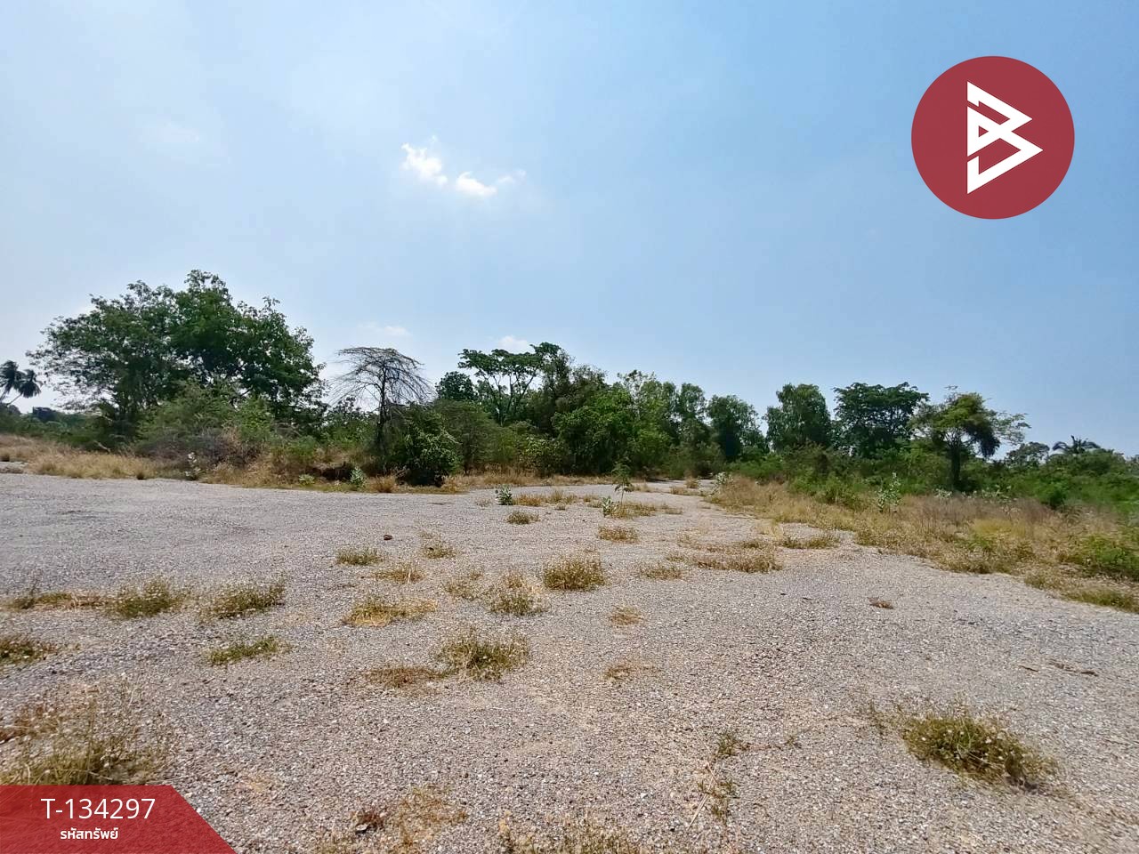 ขายที่ดิน เนื้อที่ 4 ไร่ 3 งาน 85 ตร.วา สูงเนิน นครราชสีมา 5