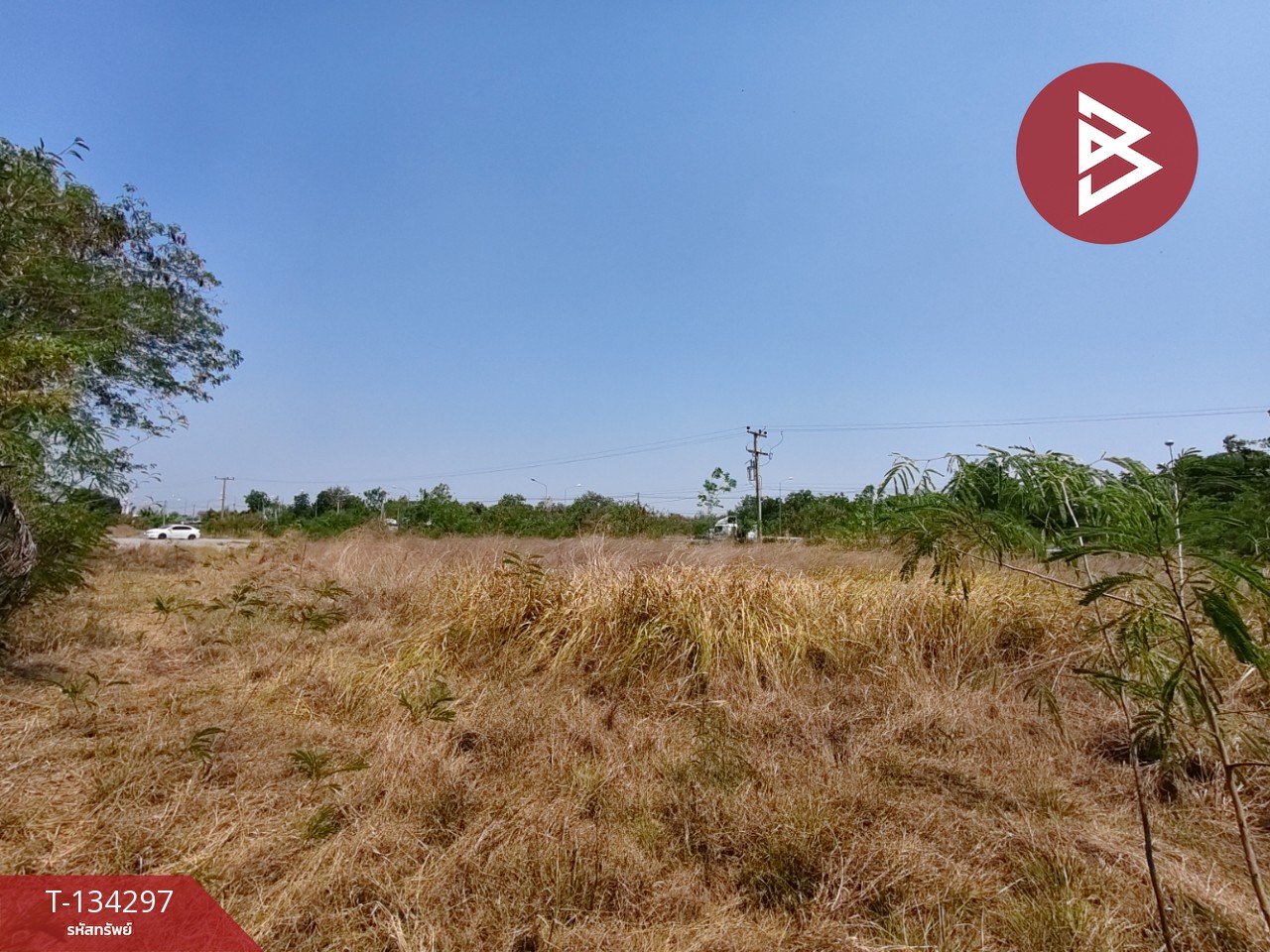 ขายที่ดิน เนื้อที่ 4 ไร่ 3 งาน 85 ตร.วา สูงเนิน นครราชสีมา 8