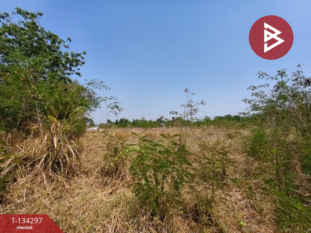 ขายที่ดิน เนื้อที่ 4 ไร่ 3 งาน 85 ตร.วา สูงเนิน นครราชสีมา 10