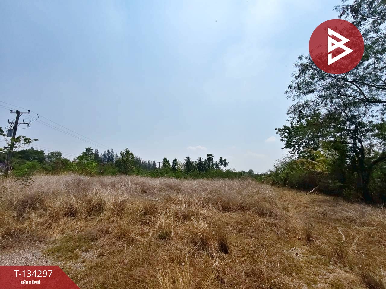 ขายที่ดิน เนื้อที่ 4 ไร่ 3 งาน 85 ตร.วา สูงเนิน นครราชสีมา 1