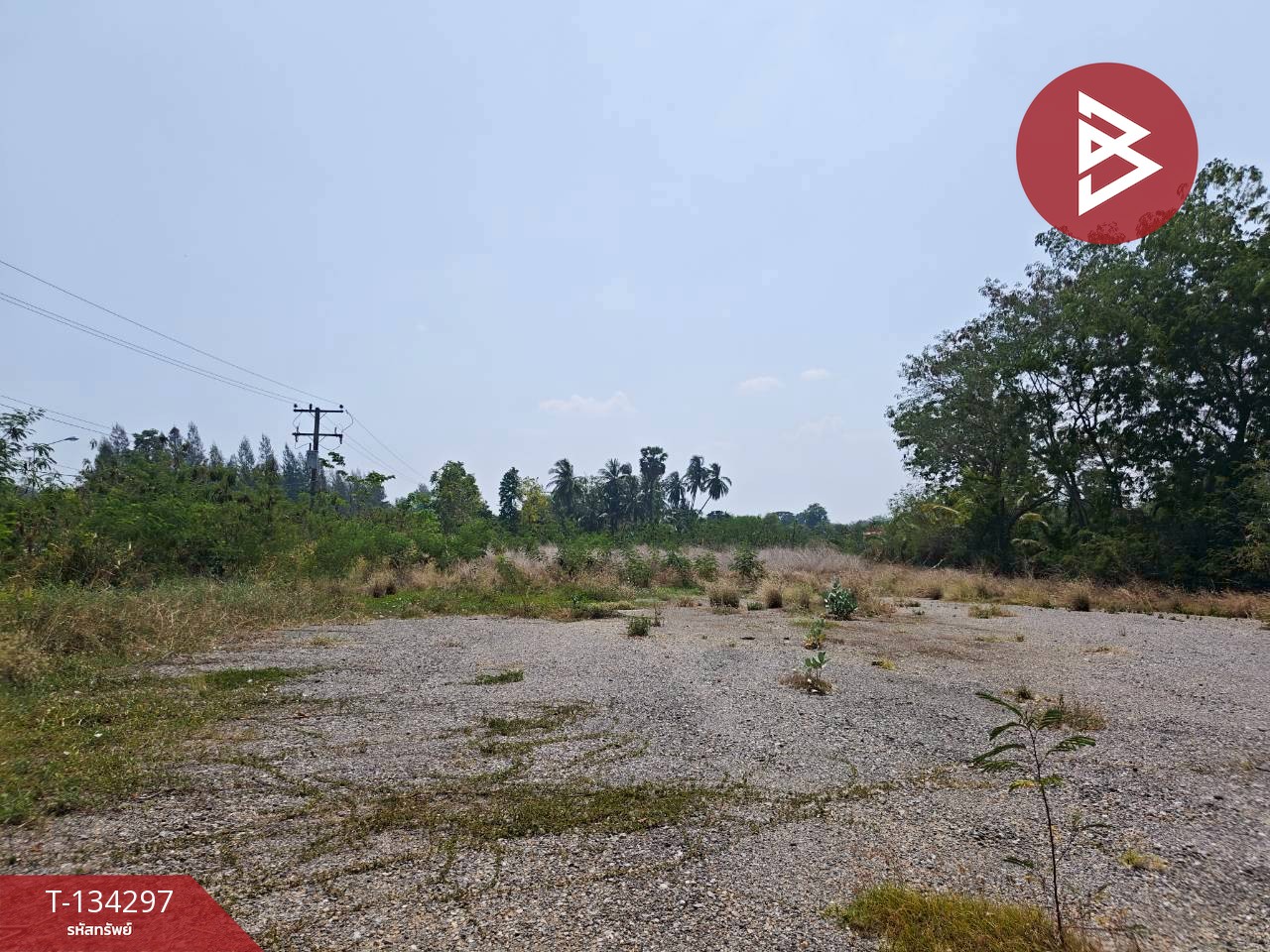 ขายที่ดิน เนื้อที่ 4 ไร่ 3 งาน 85 ตร.วา สูงเนิน นครราชสีมา 6