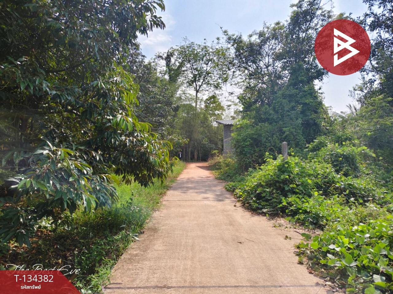 ขายที่ดินสวนทุเรียน เนื้อที่ 1 ไร่ 1 งาน 30 ตารางวา แกลง ระยอง 3