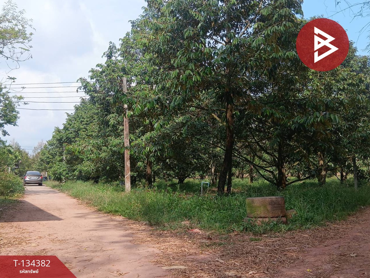 ขายที่ดินสวนทุเรียน เนื้อที่ 1 ไร่ 1 งาน 30 ตารางวา แกลง ระยอง 2