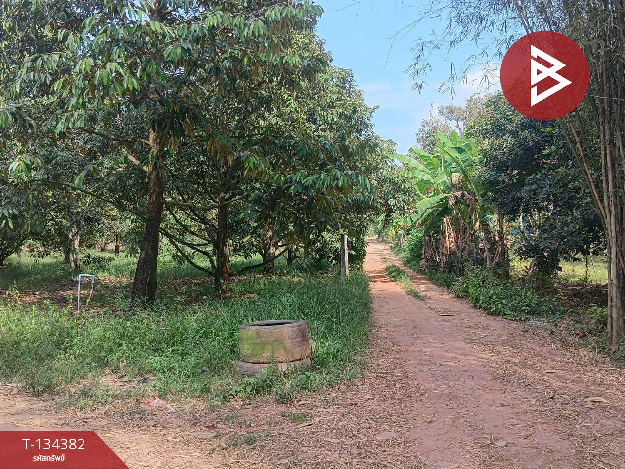 ขายที่ดินสวนทุเรียน เนื้อที่ 1 ไร่ 1 งาน 30 ตารางวา แกลง ระยอง 9