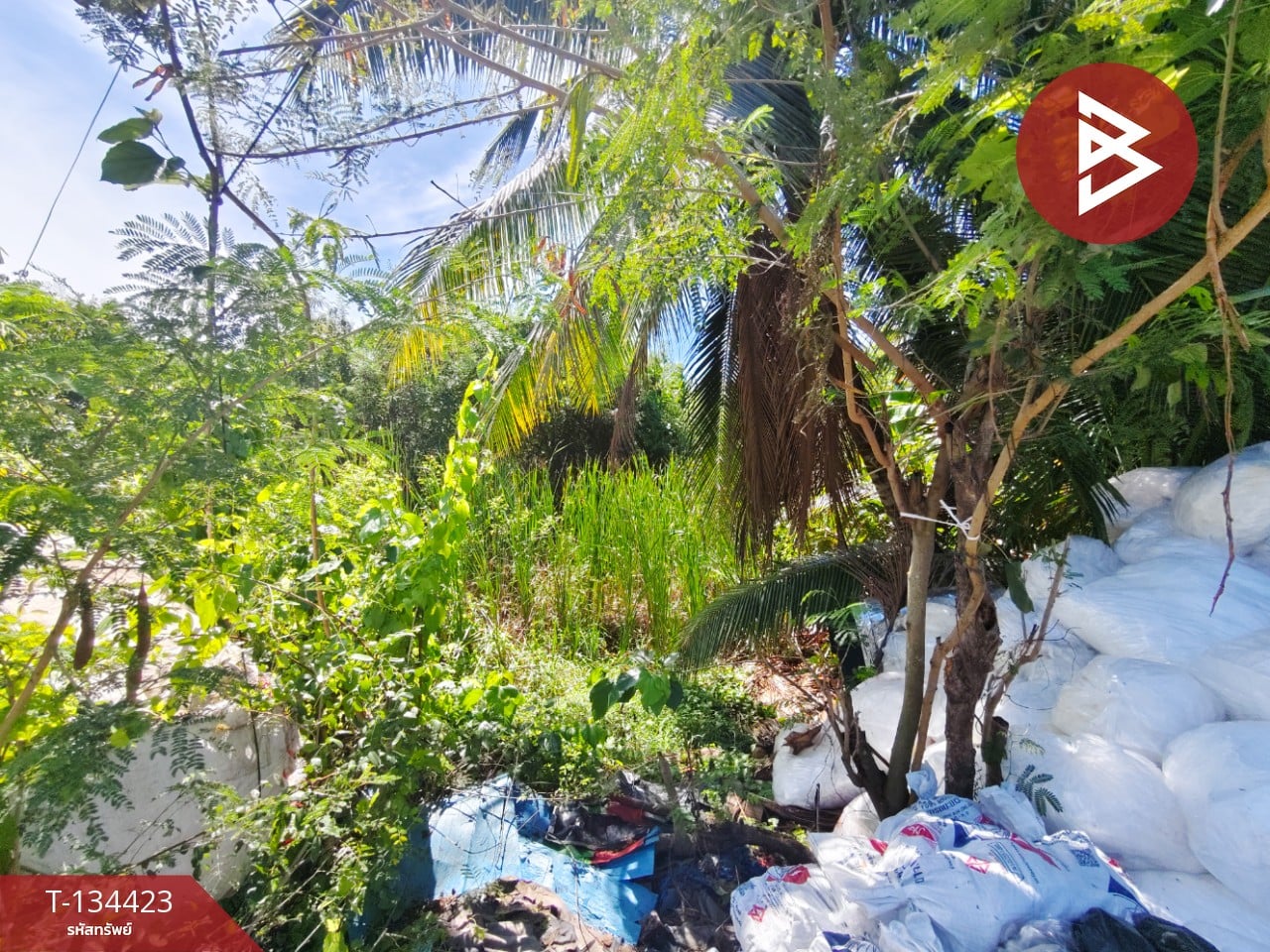 ขายที่ดิน เนื้อที่ 71 ตร.วา สามพราน นครปฐม 9