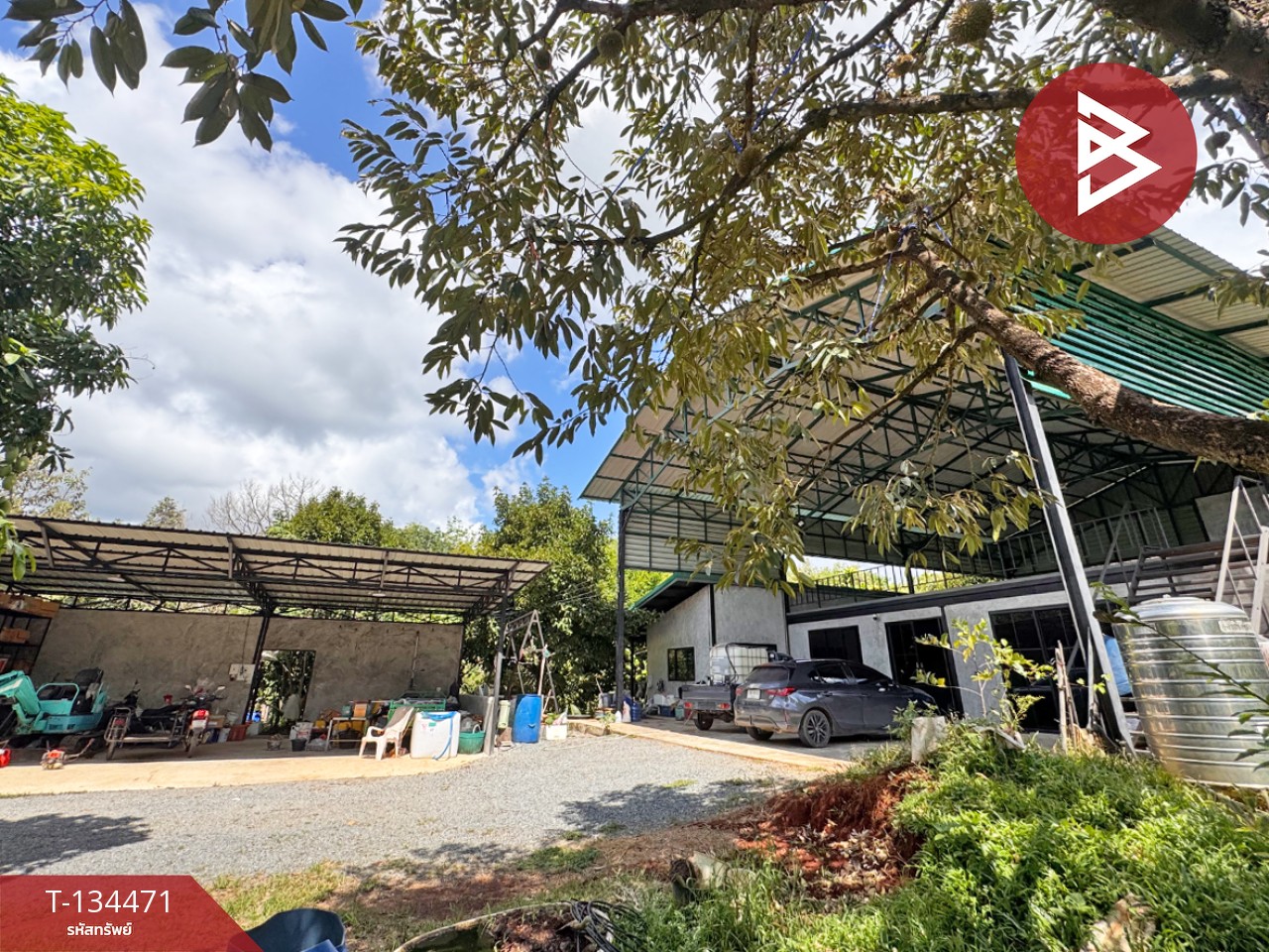 ขายที่ดิน เนื้อที่ 6 ไร่ 2 งาน 25.1 ตร.วา มะขาม จันทบุรี 8