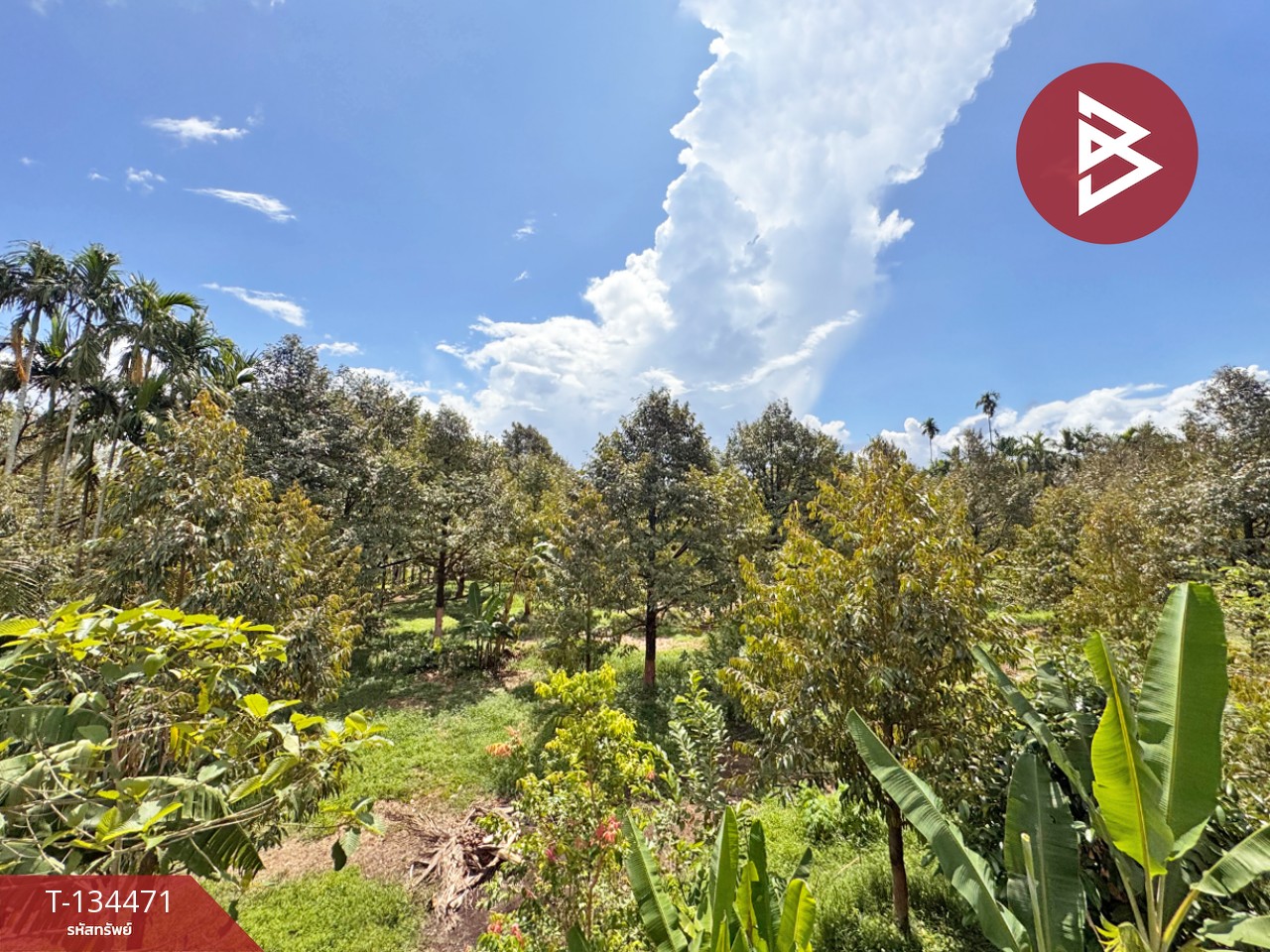 ขายที่ดิน เนื้อที่ 6 ไร่ 2 งาน 25.1 ตร.วา มะขาม จันทบุรี 1