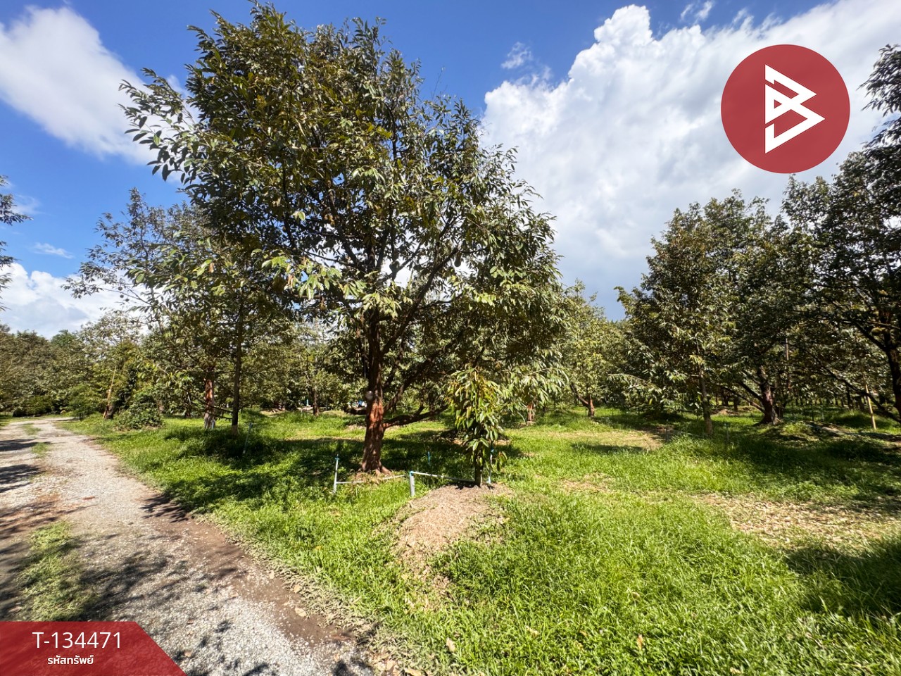 ขายที่ดิน เนื้อที่ 6 ไร่ 2 งาน 25.1 ตร.วา มะขาม จันทบุรี 5