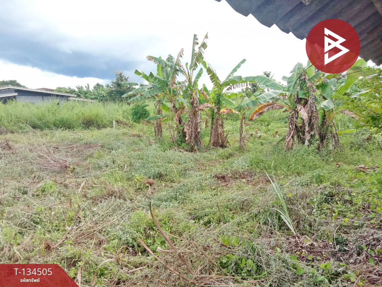 ขายที่ดิน เนื้อที่ 1 ไร่ ท่าม่วง กาญจนบุรี 2