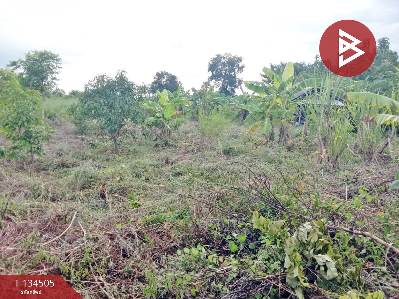 ขายที่ดิน เนื้อที่ 1 ไร่ ท่าม่วง กาญจนบุรี 3