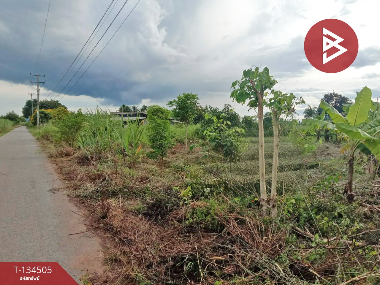 ขายที่ดิน เนื้อที่ 1 ไร่ ท่าม่วง กาญจนบุรี 1