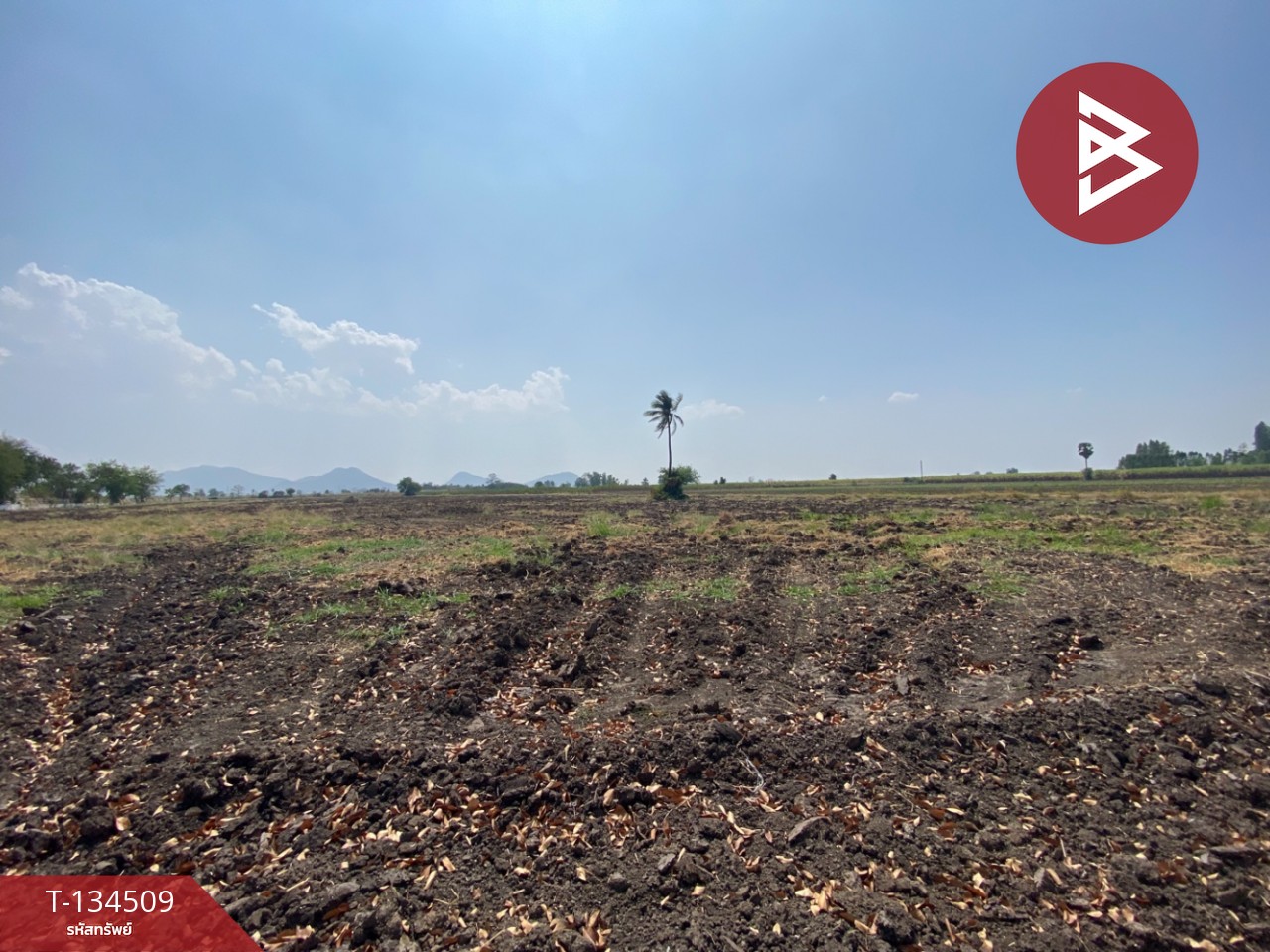 ขายที่ดินแปลงใหญ่ เนื้อที่ 40 ไร่ 46.7 ตารางวา ต.พระนอน นครสวรรค์ ติดถนน 1