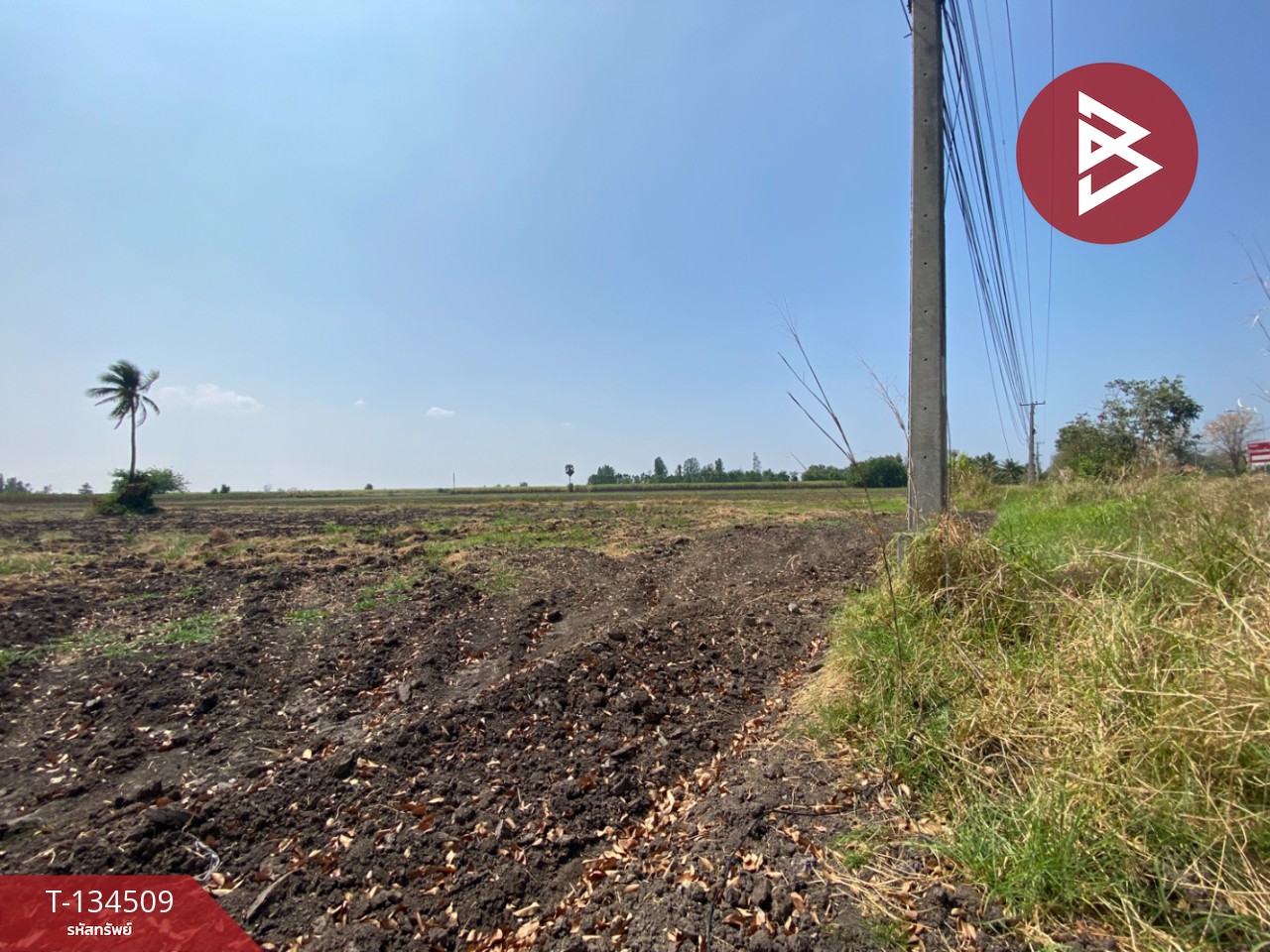 ขายที่ดินแปลงใหญ่ เนื้อที่ 40 ไร่ 46.7 ตารางวา ต.พระนอน นครสวรรค์ ติดถนน 3