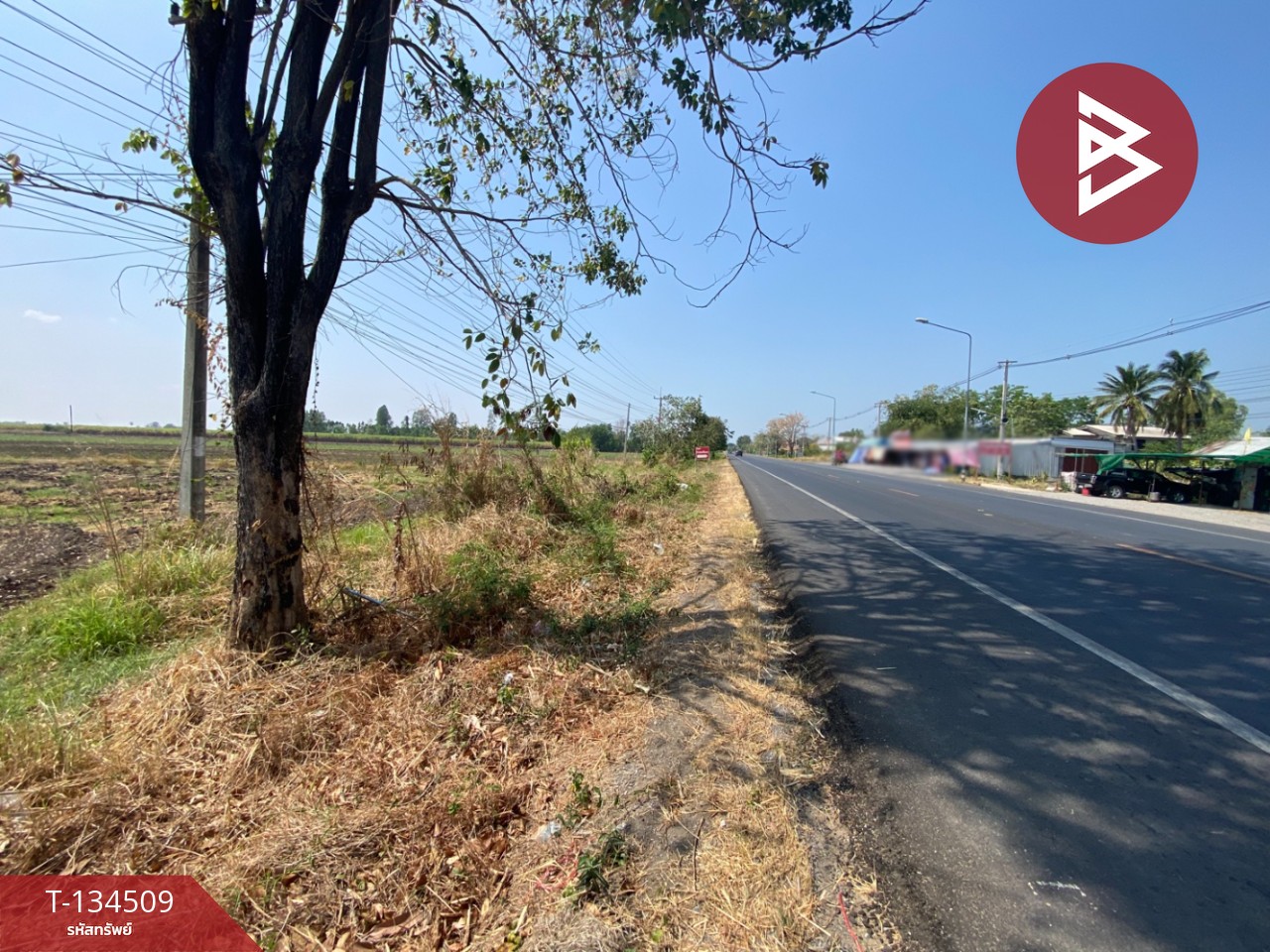 ขายที่ดินแปลงใหญ่ เนื้อที่ 40 ไร่ 46.7 ตารางวา ต.พระนอน นครสวรรค์ ติดถนน 6