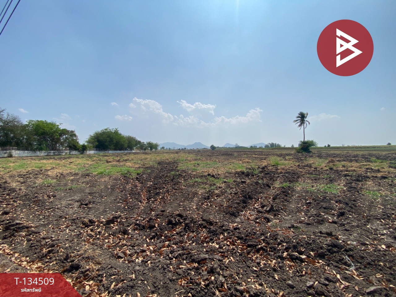 ขายที่ดินแปลงใหญ่ เนื้อที่ 40 ไร่ 46.7 ตารางวา ต.พระนอน นครสวรรค์ ติดถนน 2