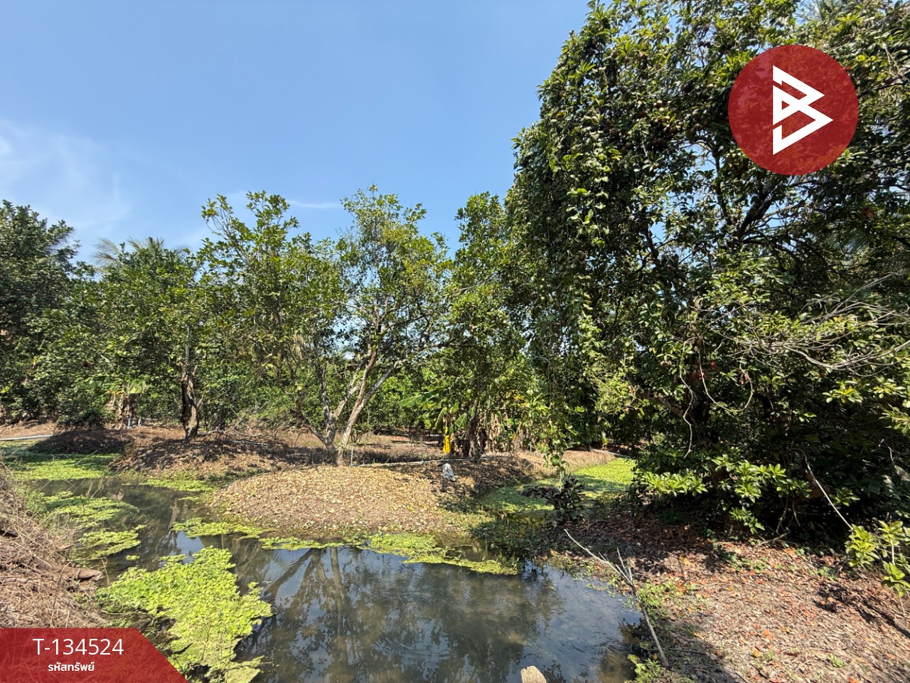 ขายที่ดิน เนื้อที่ 3 ไร่ 3 งาน 1 ตร.วา อัมพวา สมุทรสงคราม 12