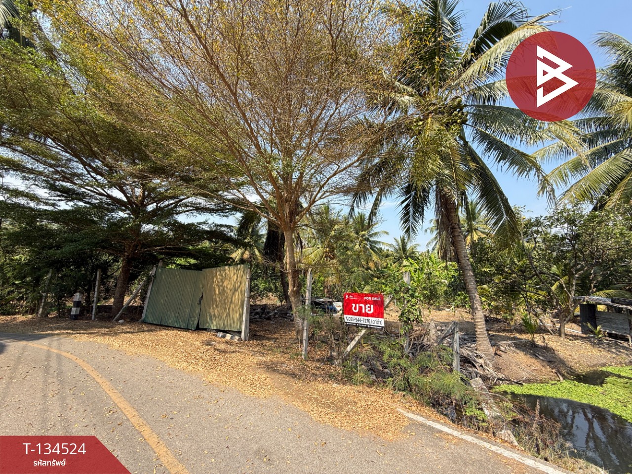 ขายที่ดิน เนื้อที่ 3 ไร่ 3 งาน 1 ตร.วา อัมพวา สมุทรสงคราม 1