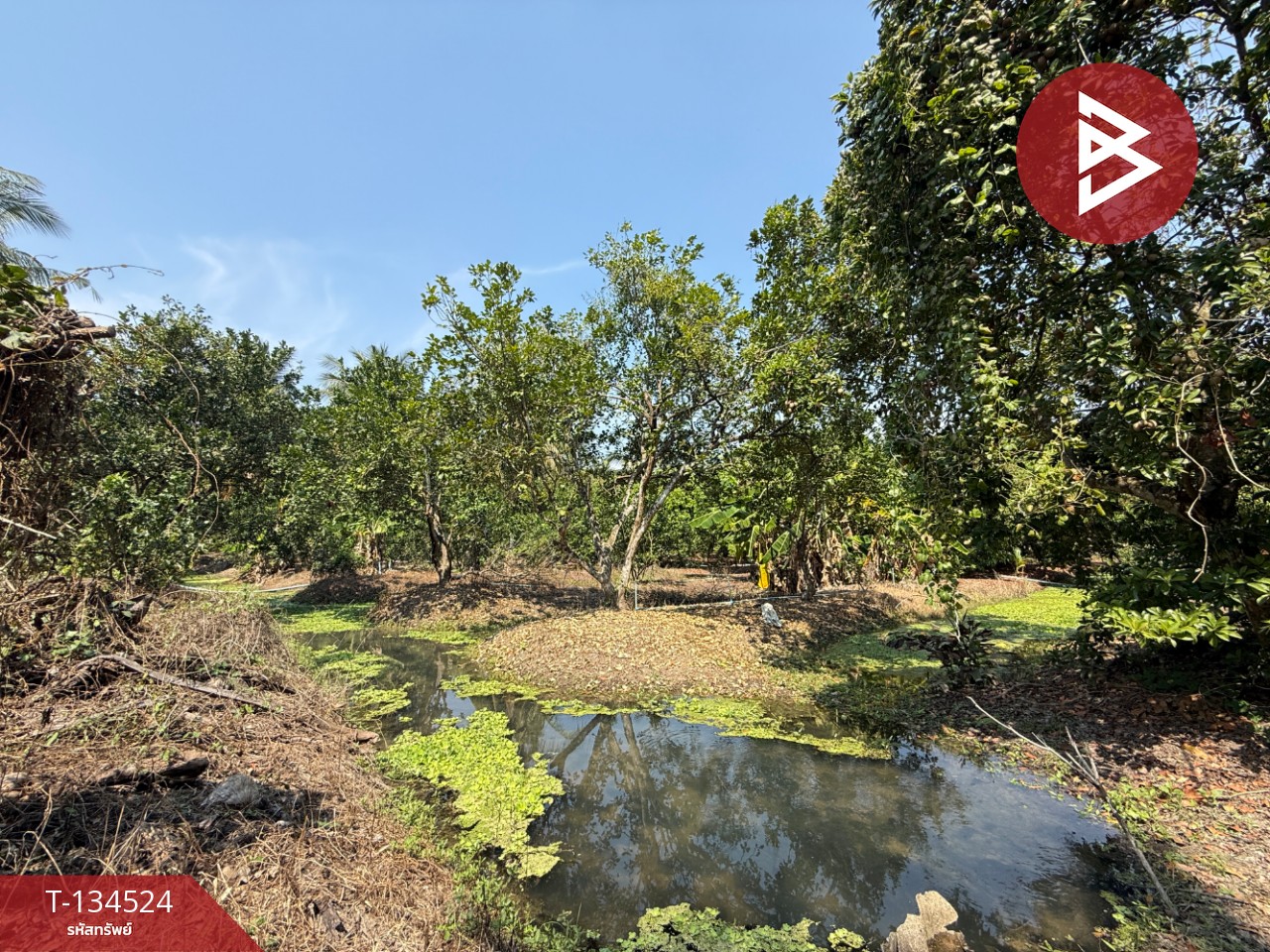 ขายที่ดิน เนื้อที่ 3 ไร่ 3 งาน 1 ตร.วา อัมพวา สมุทรสงคราม 11