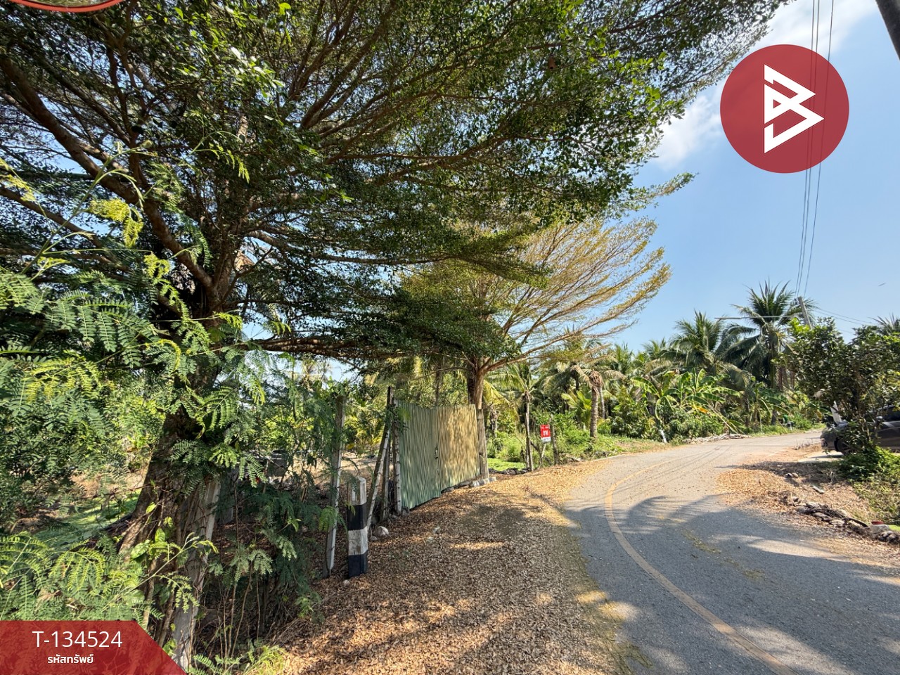 ขายที่ดิน เนื้อที่ 3 ไร่ 3 งาน 1 ตร.วา อัมพวา สมุทรสงคราม 14