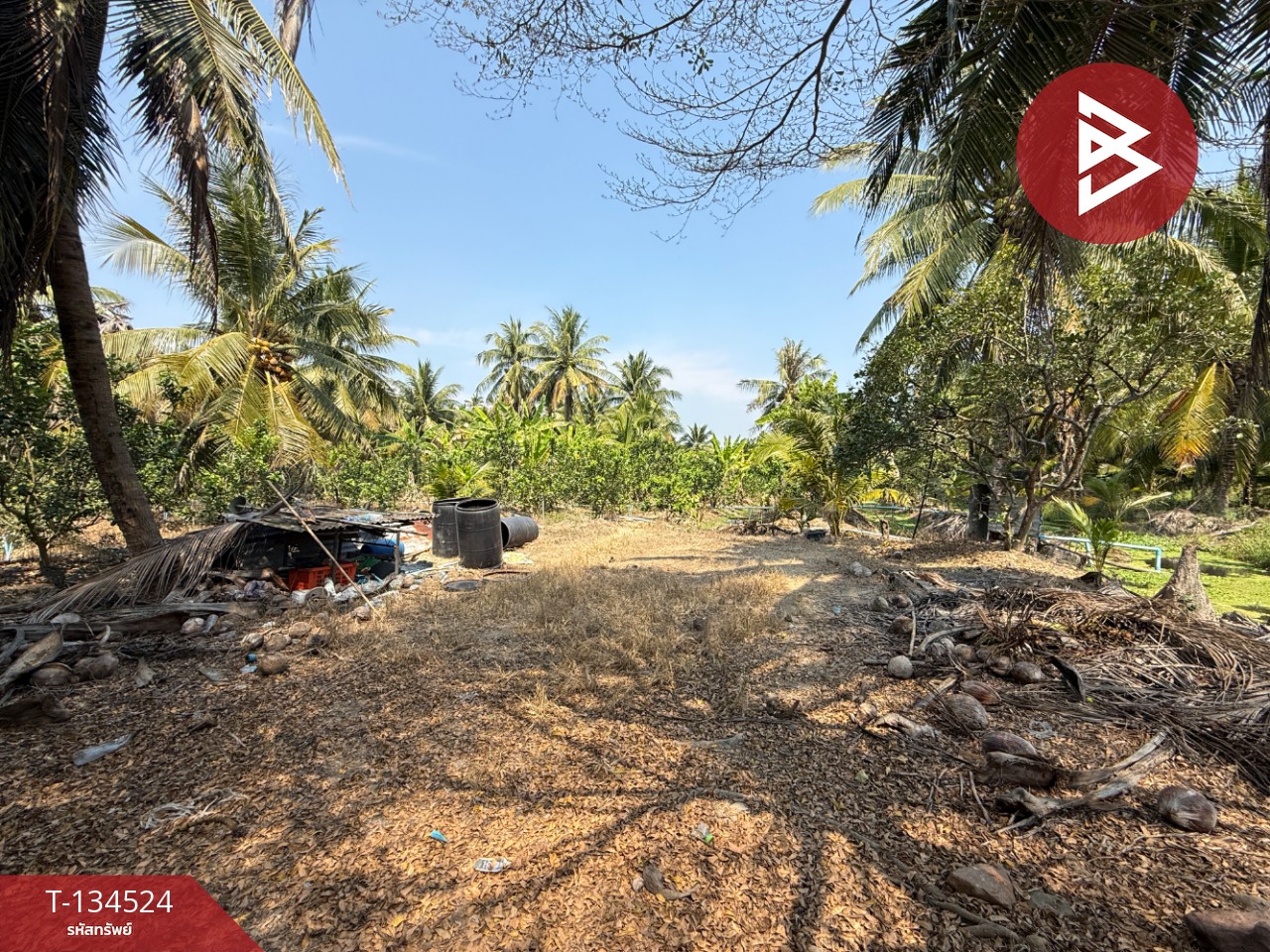 ขายที่ดิน เนื้อที่ 3 ไร่ 3 งาน 1 ตร.วา อัมพวา สมุทรสงคราม 3