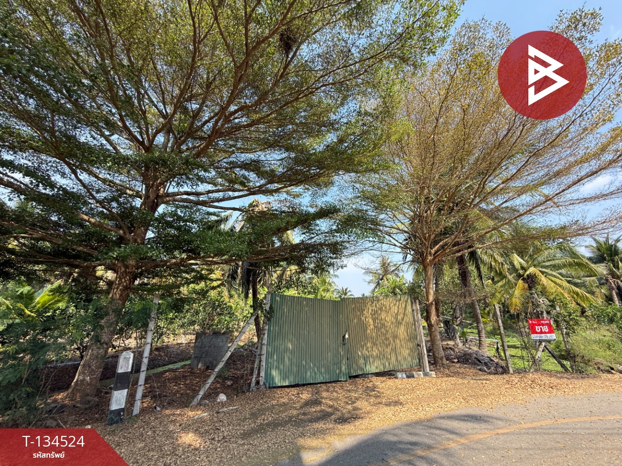 ขายที่ดิน เนื้อที่ 3 ไร่ 3 งาน 1 ตร.วา อัมพวา สมุทรสงคราม 2