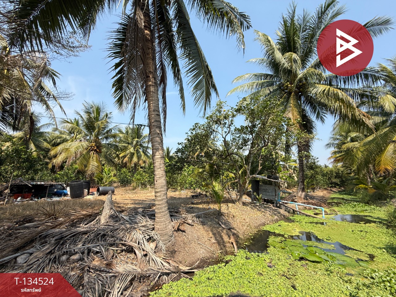 ขายที่ดิน เนื้อที่ 3 ไร่ 3 งาน 1 ตร.วา อัมพวา สมุทรสงคราม 4