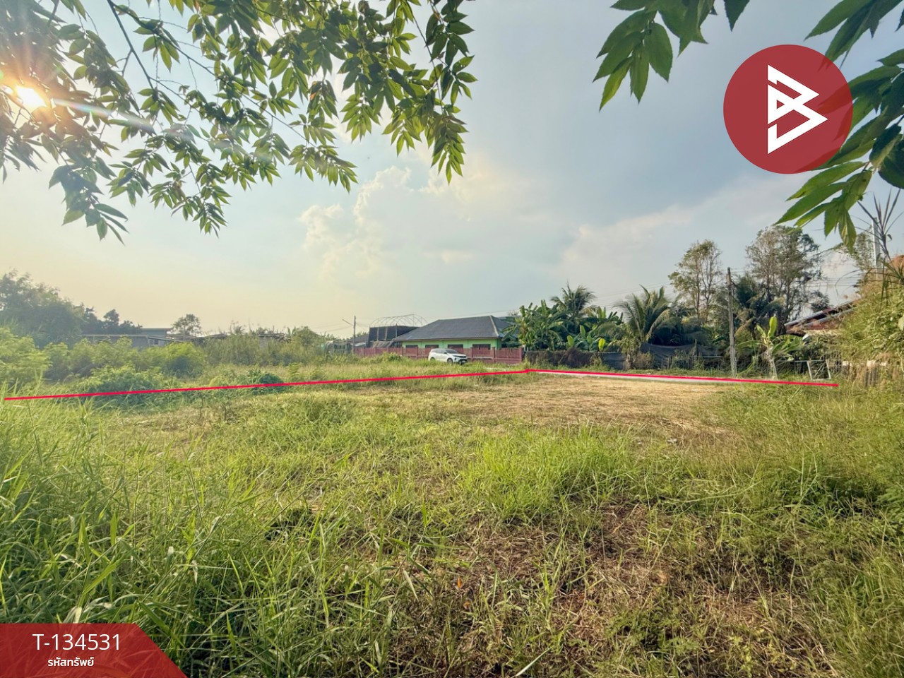 ขายที่ดิน เนื้อที่ 1 งาน สามพราน นครปฐม 1