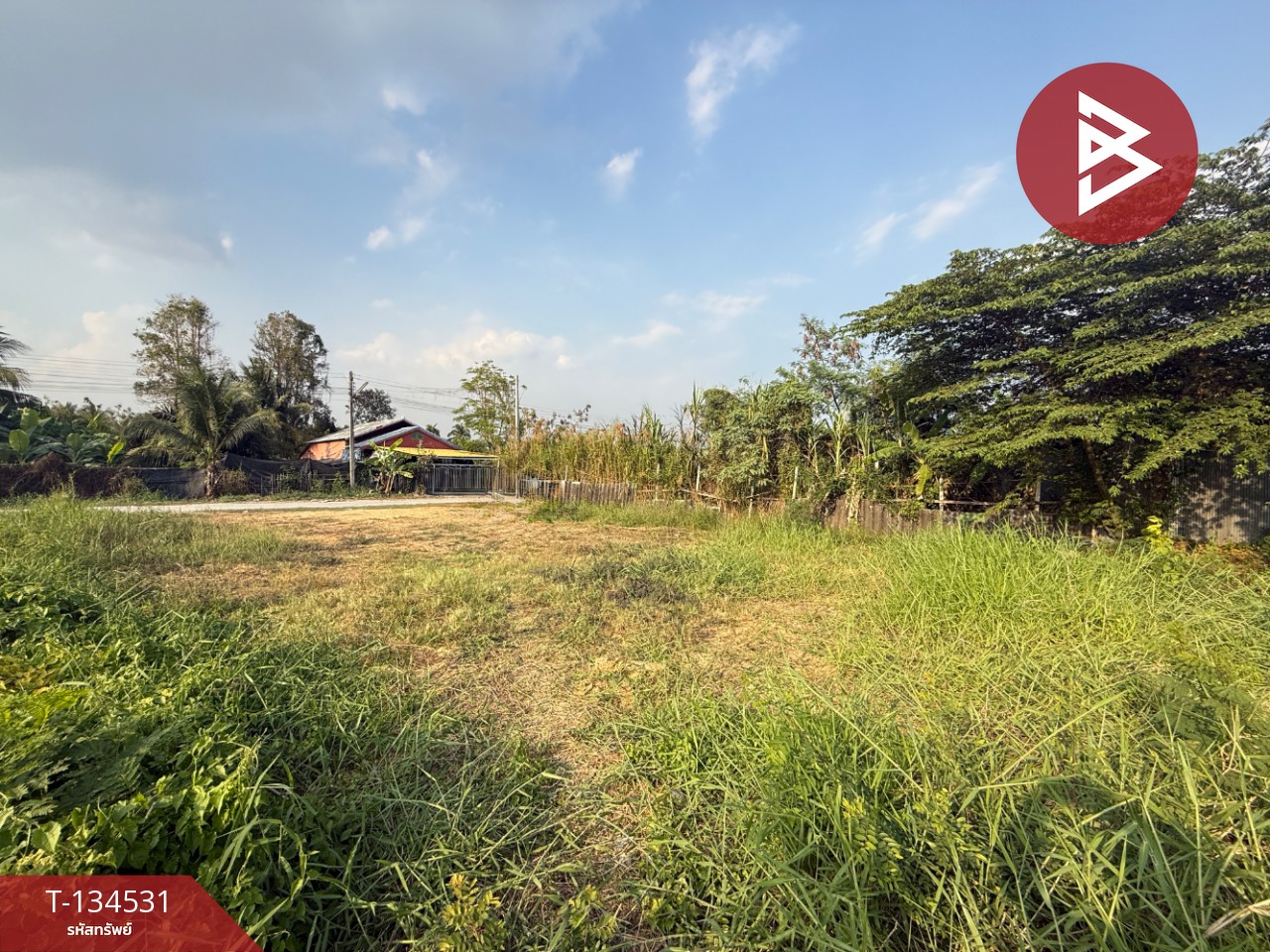 ขายที่ดิน เนื้อที่ 1 งาน สามพราน นครปฐม 4