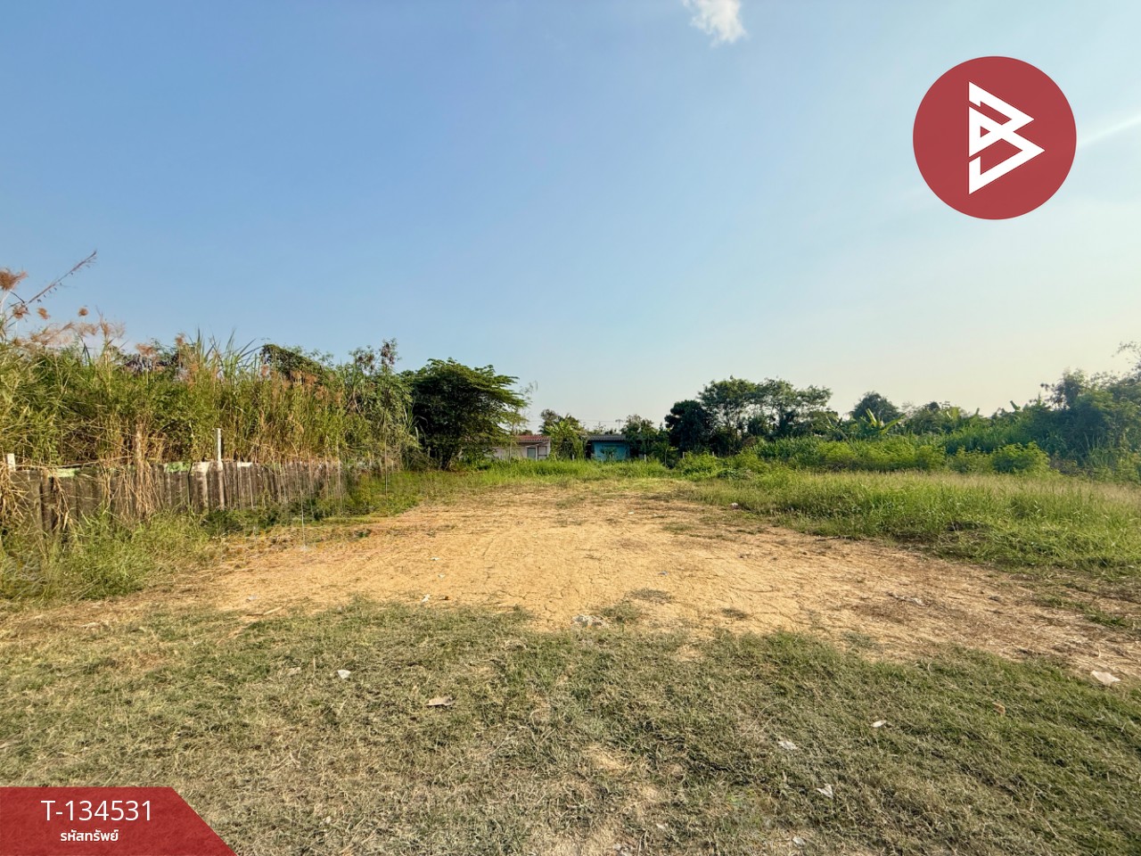 ขายที่ดิน เนื้อที่ 1 งาน สามพราน นครปฐม 2