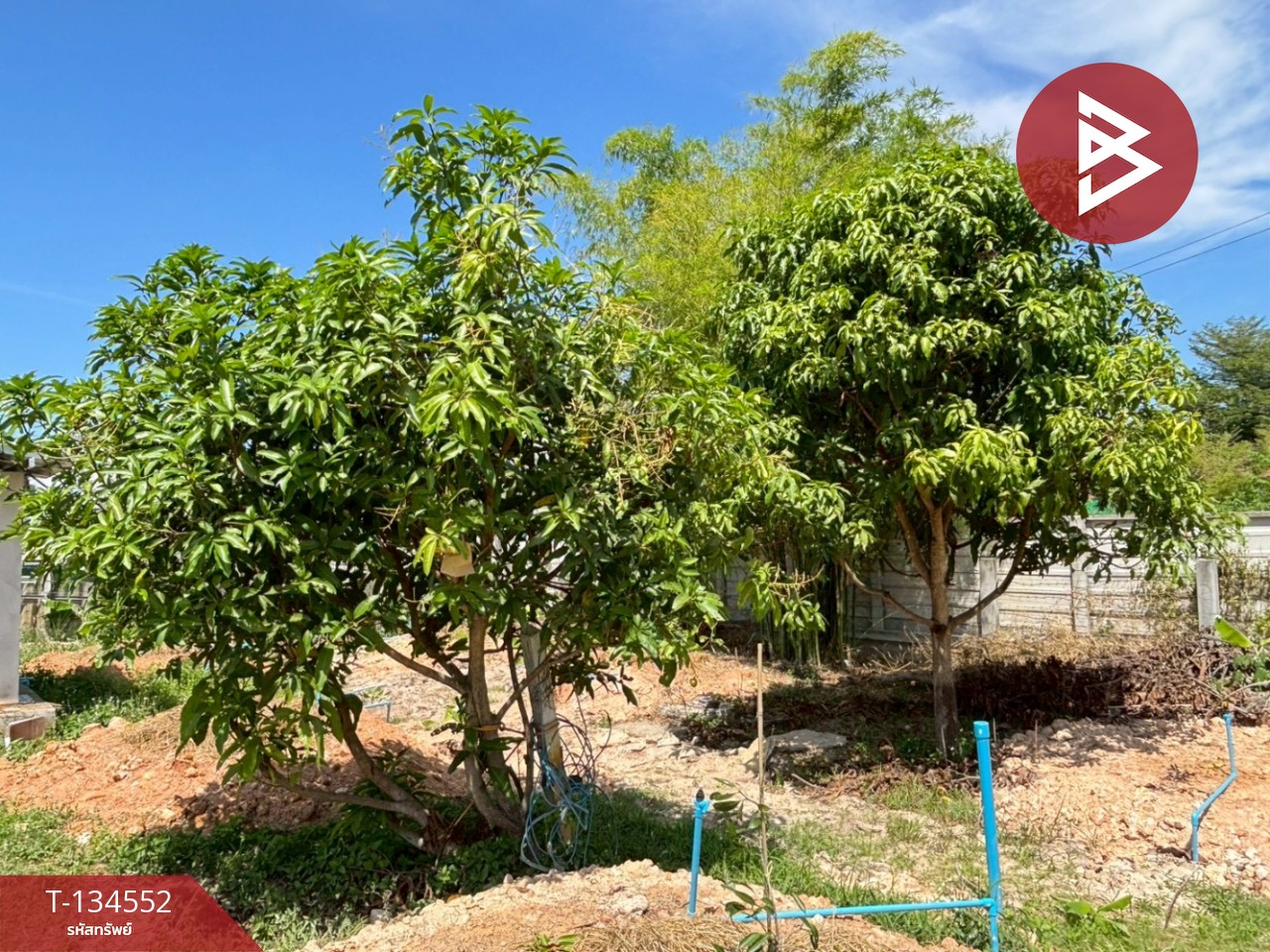 ขายที่ดินพร้อมสวน เนื้อที่ 1 ไร่ บ้านแลง ระยอง 6