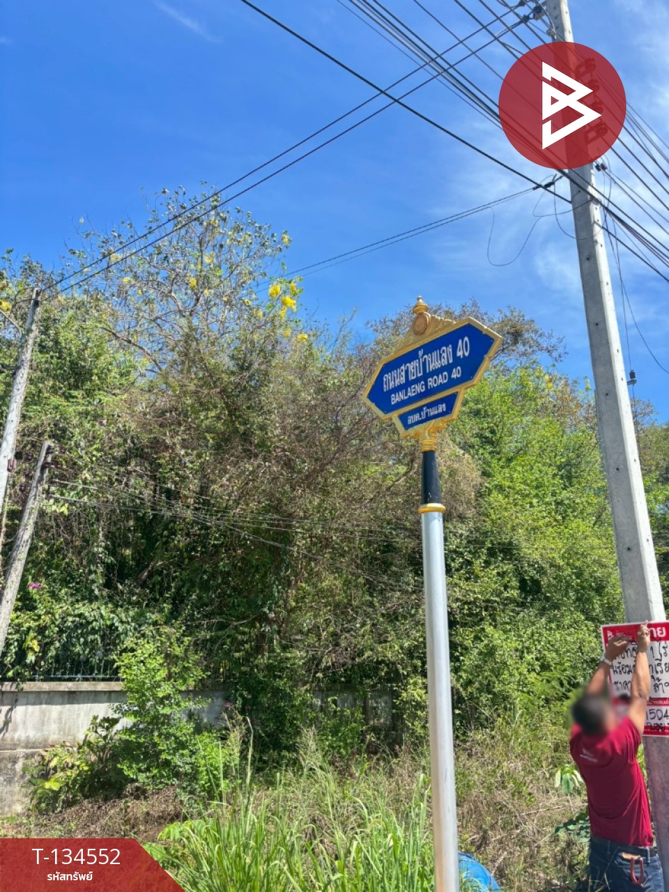 ขายที่ดินพร้อมสวน เนื้อที่ 1 ไร่ บ้านแลง ระยอง 13