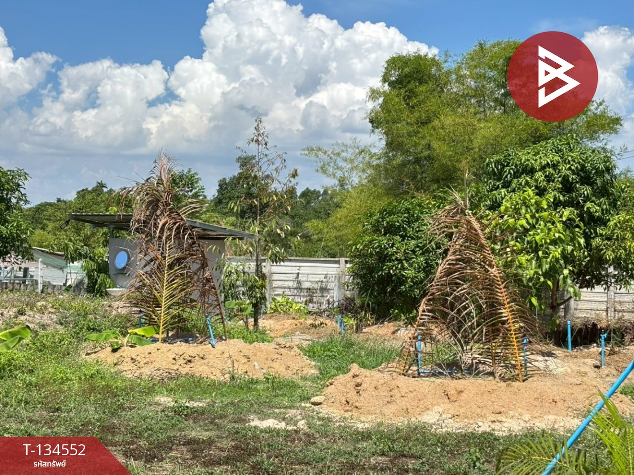 ขายที่ดินพร้อมสวน เนื้อที่ 1 ไร่ บ้านแลง ระยอง 5