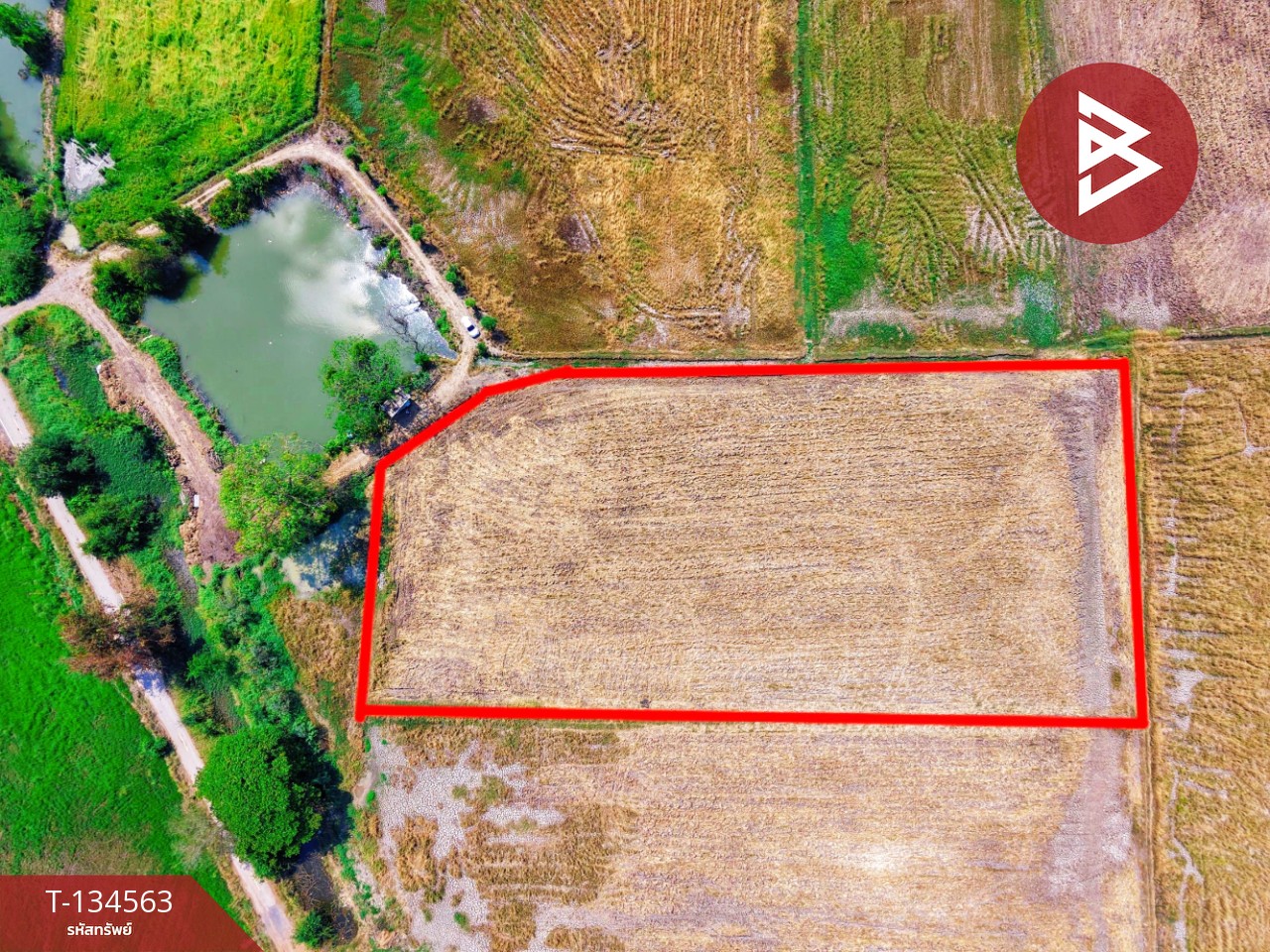 ขายที่ดินที่นา เนื้อที่ 4 ไร่ 13 ตารางวา ต.ตลุก อ.สรรพยา จ.ชัยนาท 11