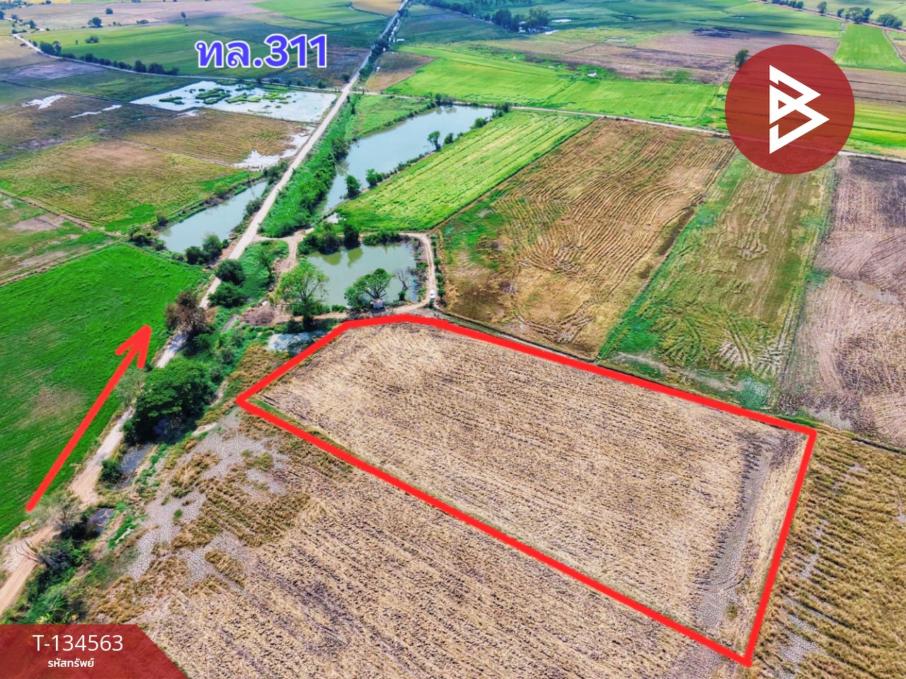 ขายที่ดินที่นา เนื้อที่ 4 ไร่ 13 ตารางวา ต.ตลุก อ.สรรพยา จ.ชัยนาท 12