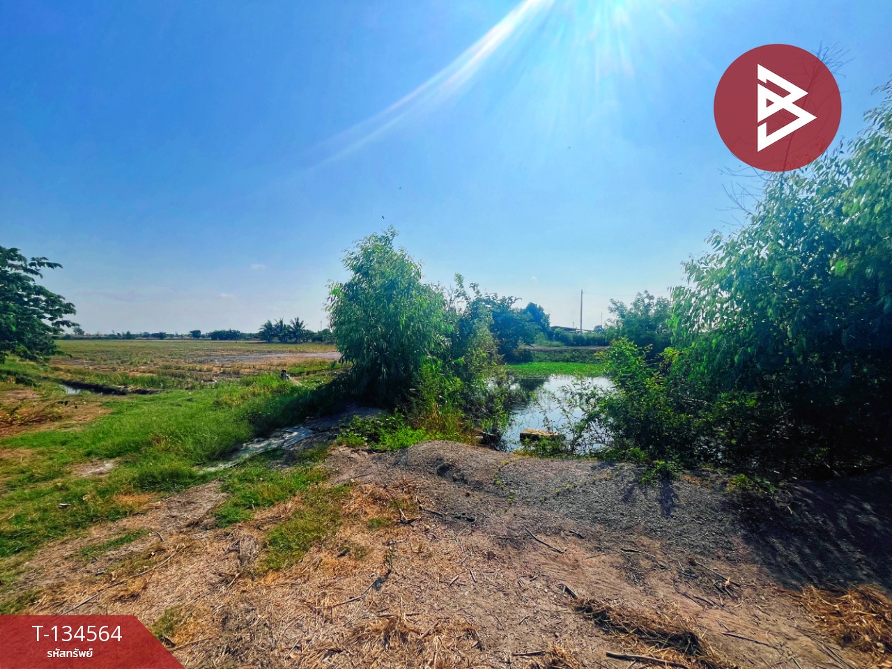 ขายที่ดิน เนื้อที่ 4 ไร่ 2 งาน 2.1 ตร.วา สองพี่น้อง สุพรรณบุรี 9