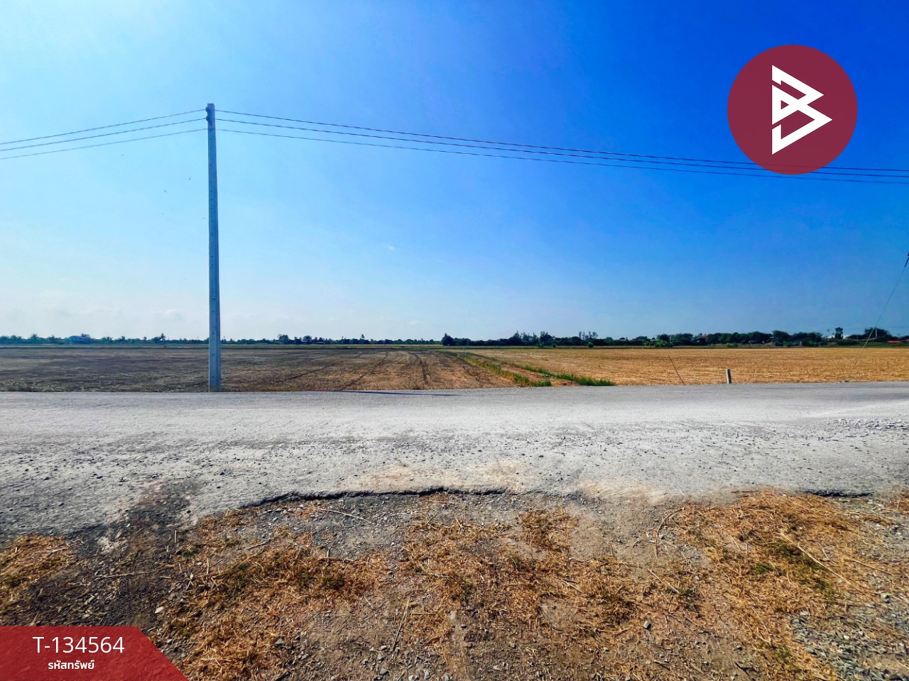 ขายที่ดิน เนื้อที่ 4 ไร่ 2 งาน 2.1 ตร.วา สองพี่น้อง สุพรรณบุรี 5