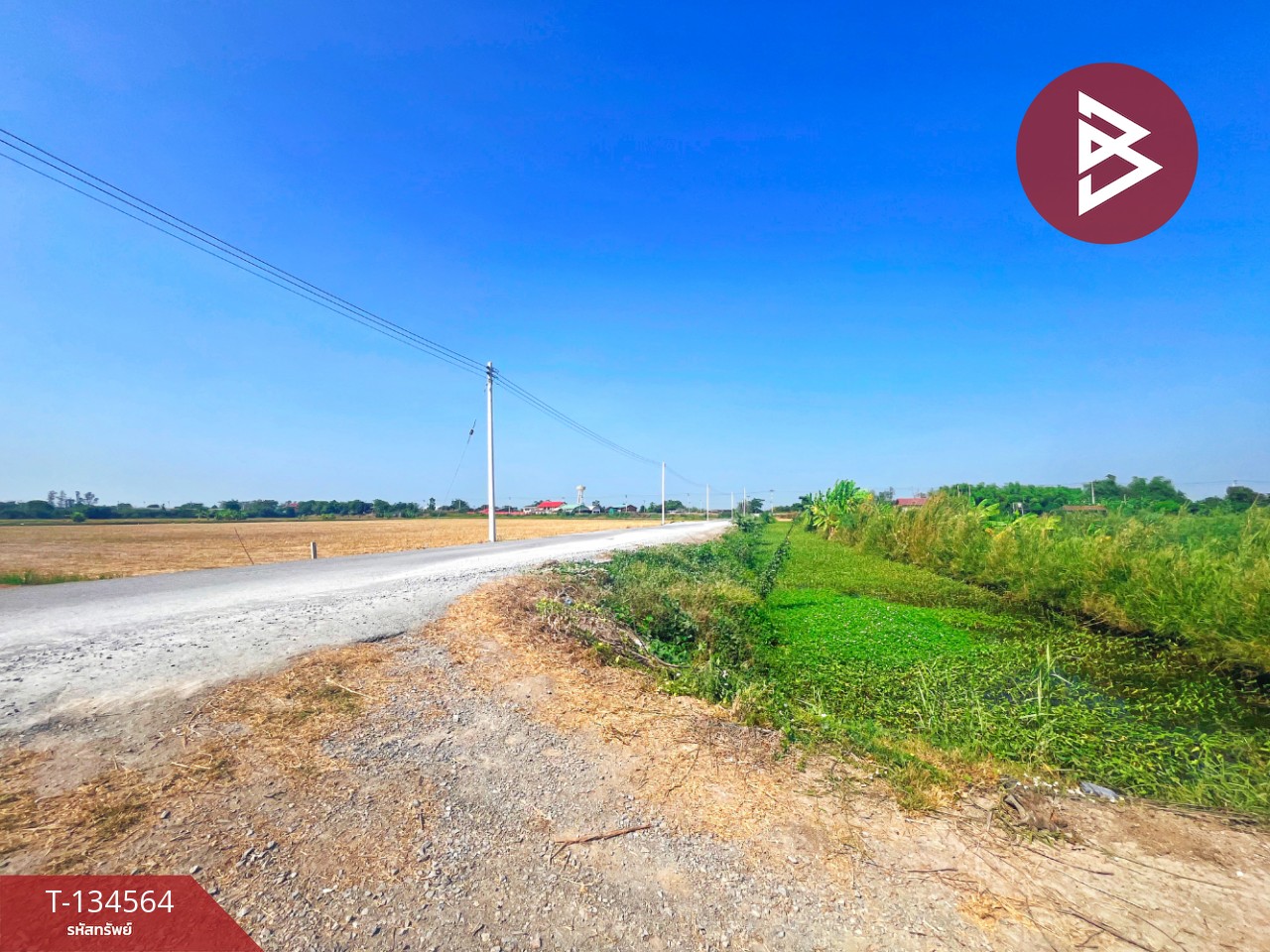 ขายที่ดิน เนื้อที่ 4 ไร่ 2 งาน 2.1 ตร.วา สองพี่น้อง สุพรรณบุรี 6