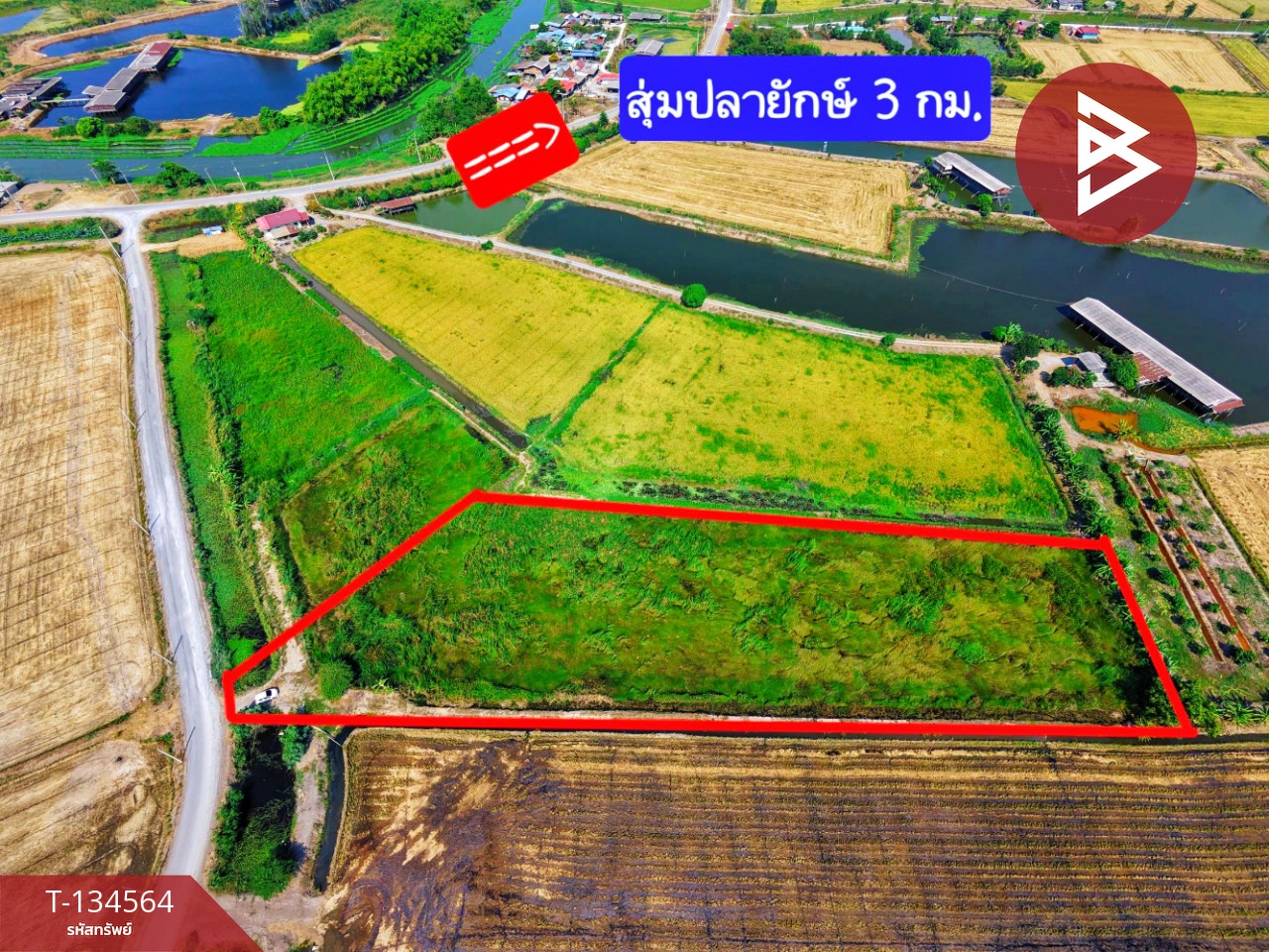 ขายที่ดิน เนื้อที่ 4 ไร่ 2 งาน 2.1 ตร.วา สองพี่น้อง สุพรรณบุรี 2