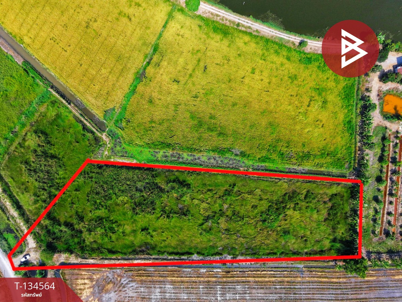 ขายที่ดิน เนื้อที่ 4 ไร่ 2 งาน 2.1 ตร.วา สองพี่น้อง สุพรรณบุรี 3