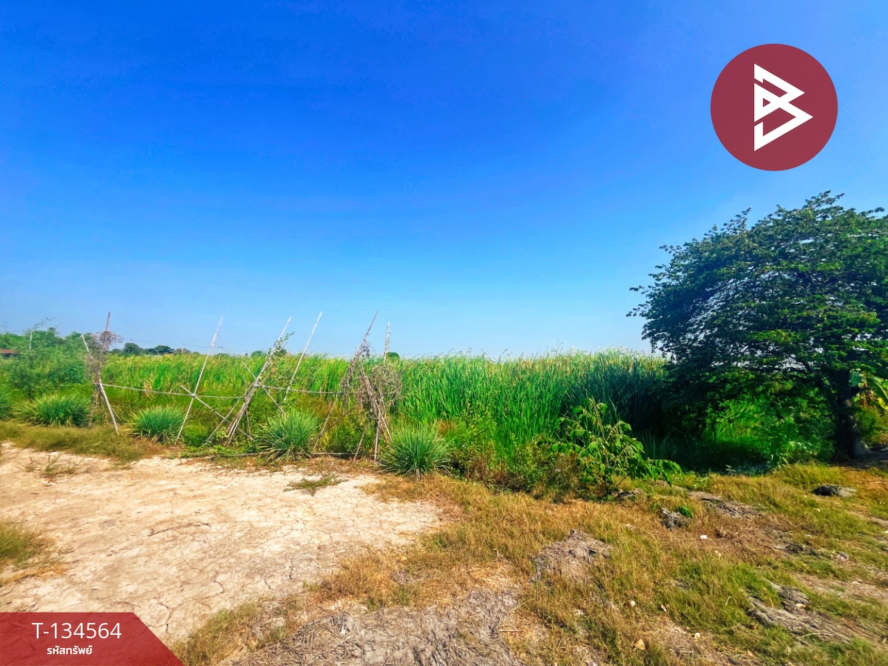 ขายที่ดิน เนื้อที่ 4 ไร่ 2 งาน 2.1 ตร.วา สองพี่น้อง สุพรรณบุรี 7