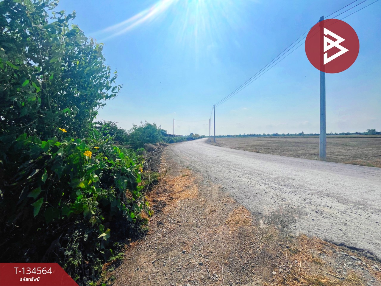 ขายที่ดิน เนื้อที่ 4 ไร่ 2 งาน 2.1 ตร.วา สองพี่น้อง สุพรรณบุรี 4